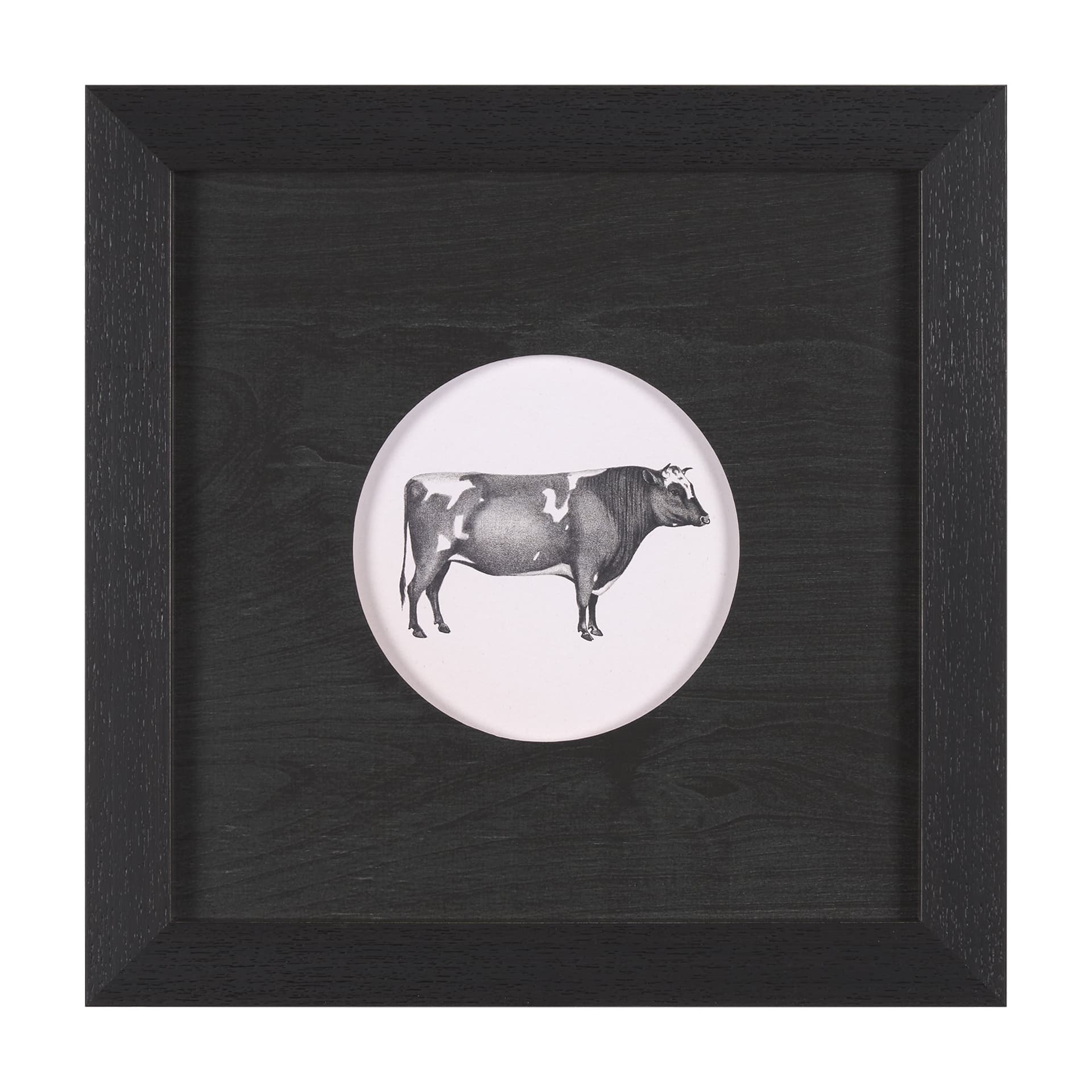 Down On The Farm I by Wild Apple Portfolio a Framed Art Print Matted under Glass — product photograph