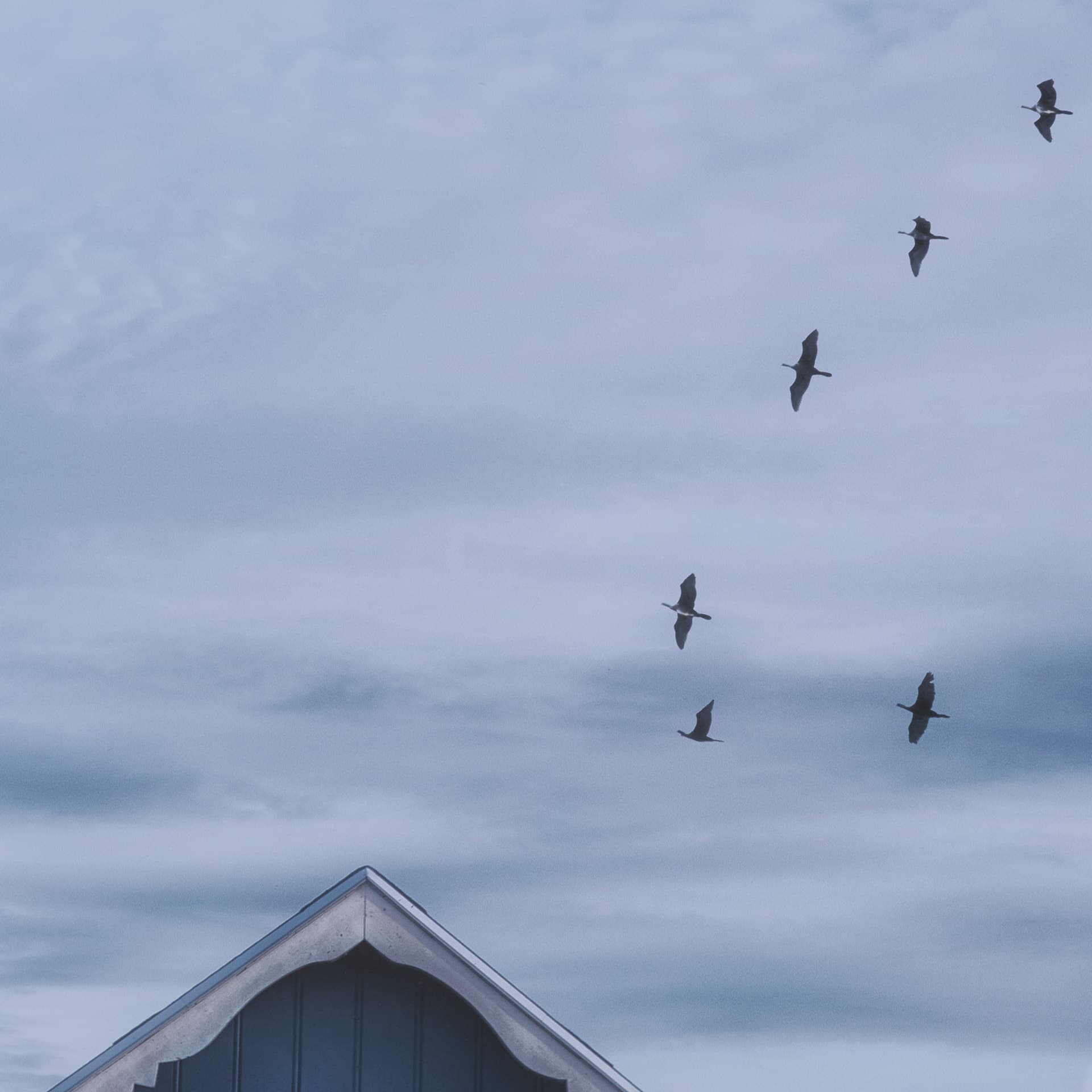 Breezy Blue Escape by Lotte Gronkjaer FramedPhoto Print Matted under Glass — product photograph