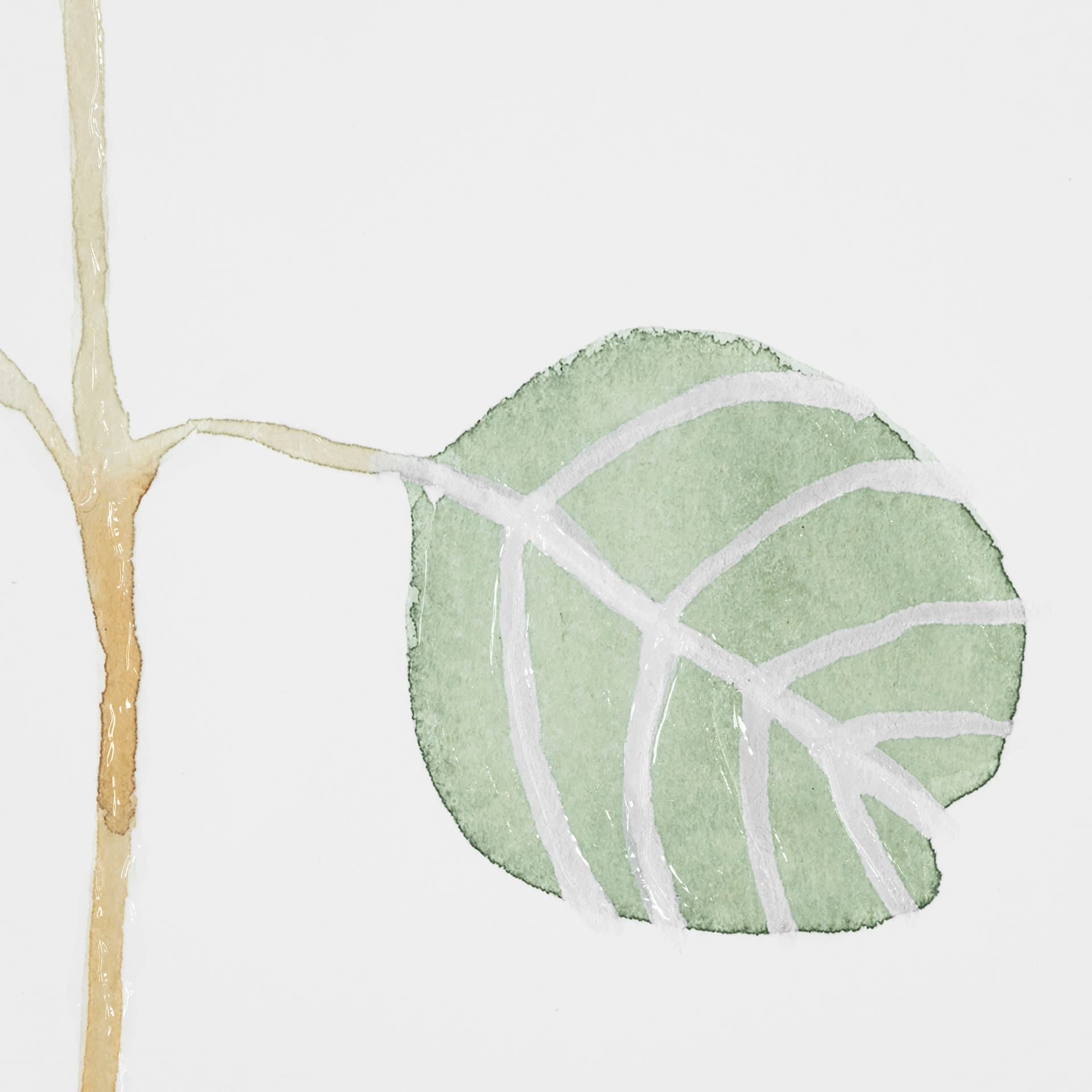 Soft Eucalyptus Branch IV by Emma Scarvey Hand Embellished Framed Art Print Matted under Glass — product photograph