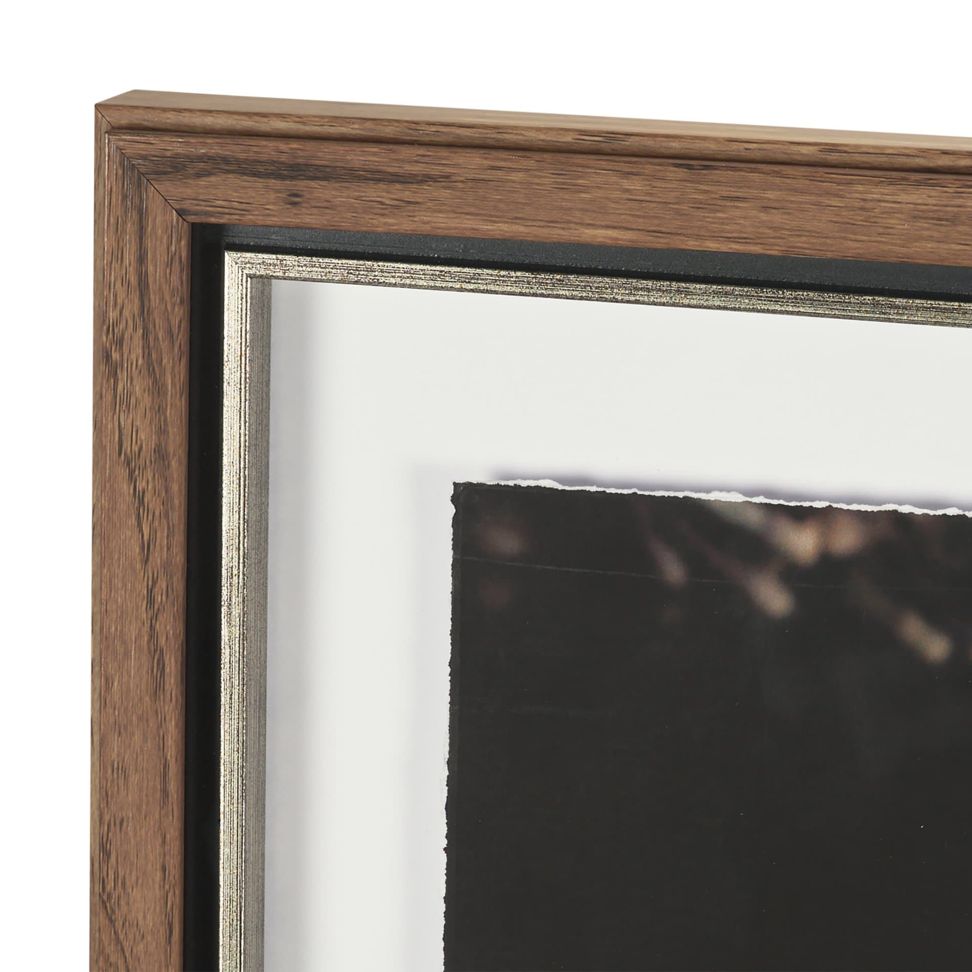 Purple Sea Urchins by Nathan Larson a Hand Embellished Framed Photo Art Print Matted under Glass — product photograph