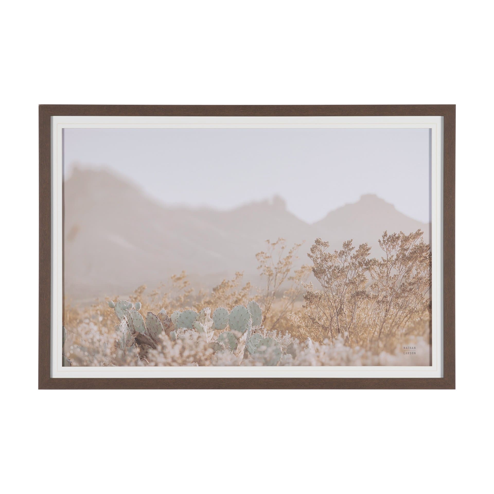Big Bend National Park by Nathan Larson FramedPhoto Print Matted under Glass — product photograph