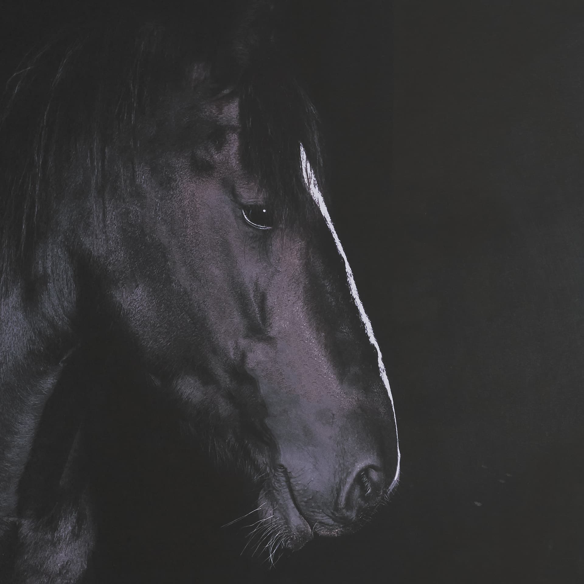 Majestic Midnight by Rehpoehler Framed Photo Print Matted under Glass — product photograph