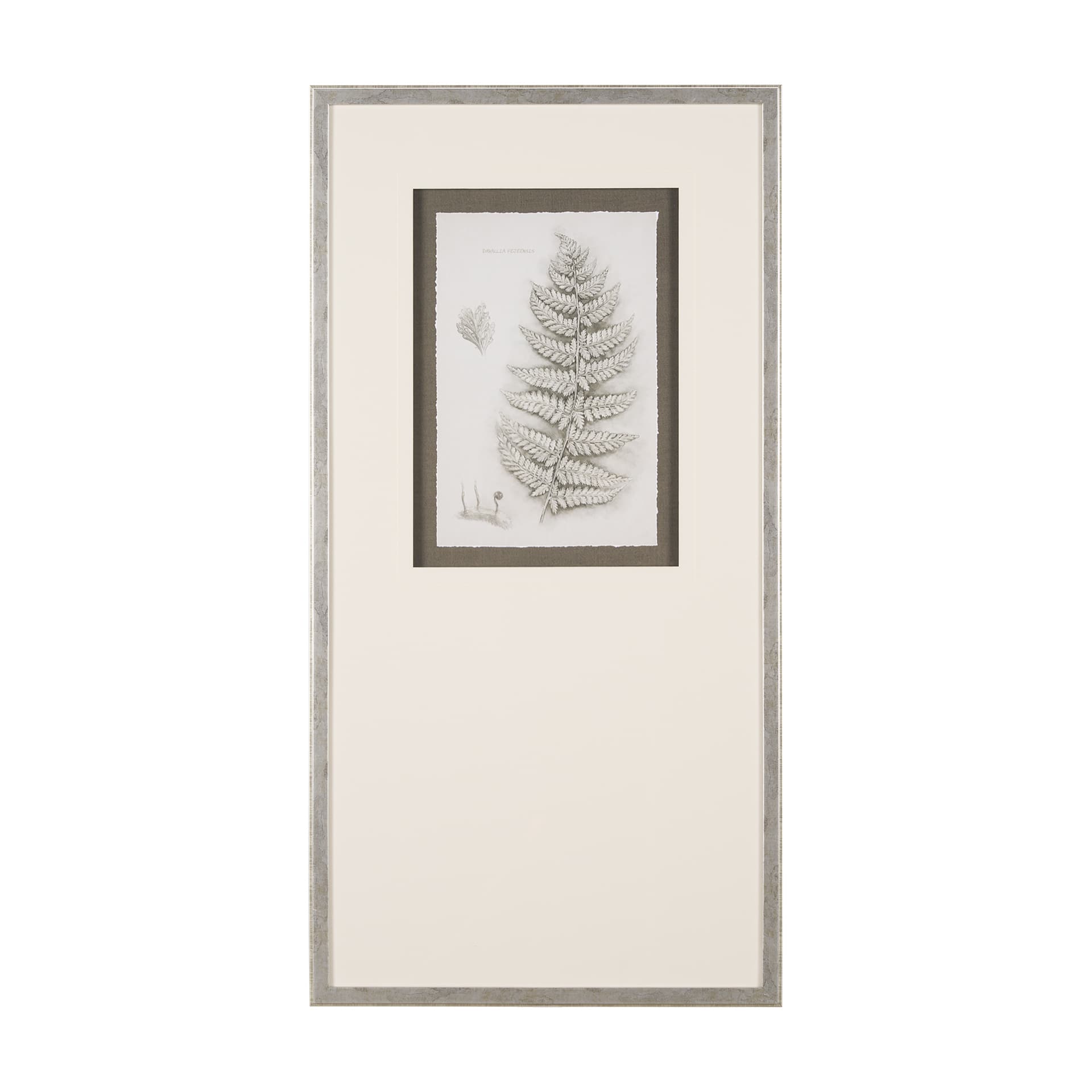 Fern Study II by Mercana Studio Hand Embelished Framed Art Print Matted under Glass — product photograph