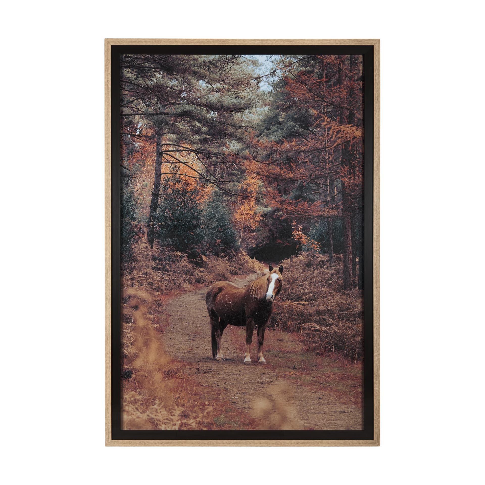 Forest Crossing by Mercana Studio a Hand Embellished Textured Framed Photo Art Print Matted under Gl — product photograph