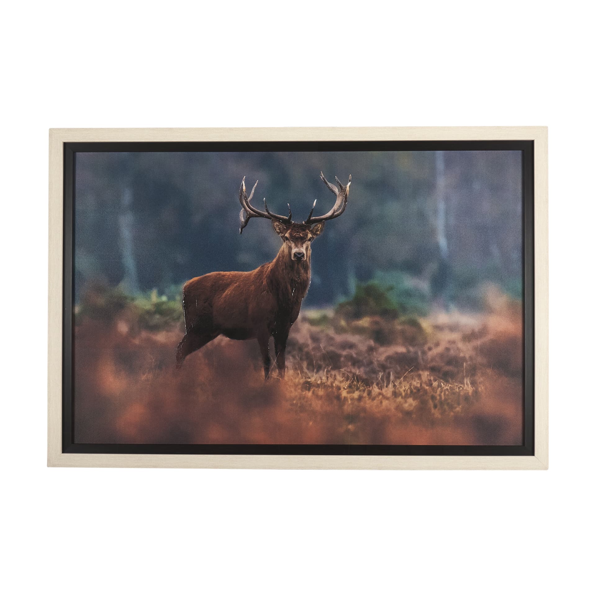 Glorious Stag by Mercana Studio a Hand Embellished Textured Framed Photo Art Print Matted under Glas — product photograph