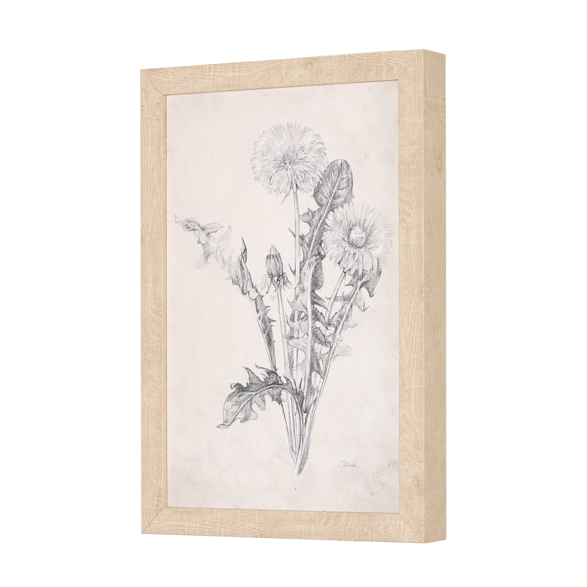 Chamomile Drawing I by Mercana Studio a Hand Embellished Textured Framed Art Print — product photograph