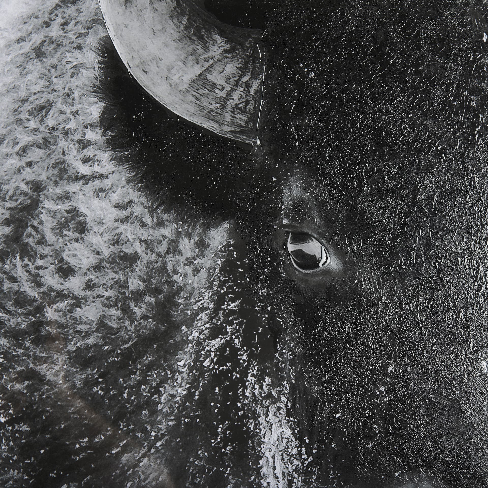 A Struggle by Mercana Studio a Hand Embellished Textured Framed Photo Art Print Matted under Glass — product photograph
