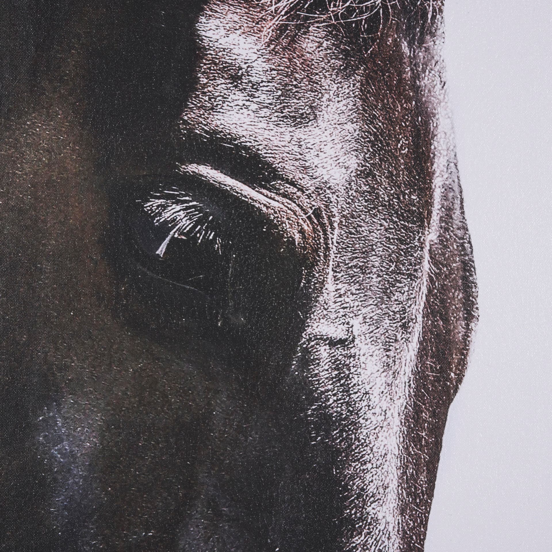 Bingo by Mercana Studio a Hand Embellished Textured Framed Canvas — product photograph