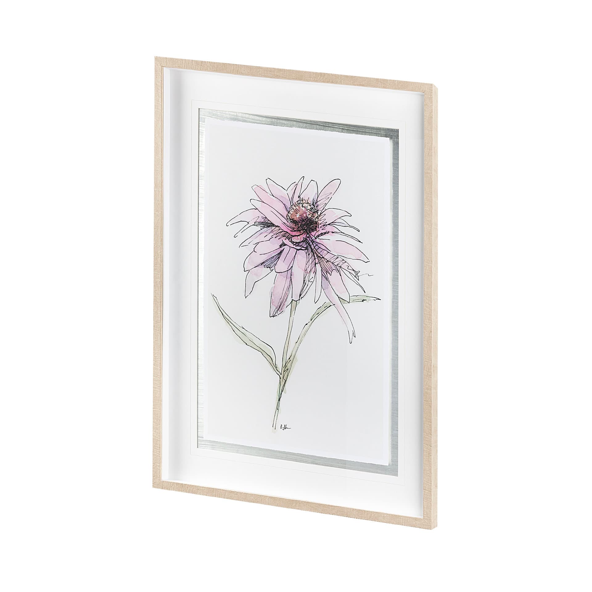 Echinacea I by Panpan Zhang a Framed Art Print Matted under Glass — product photograph