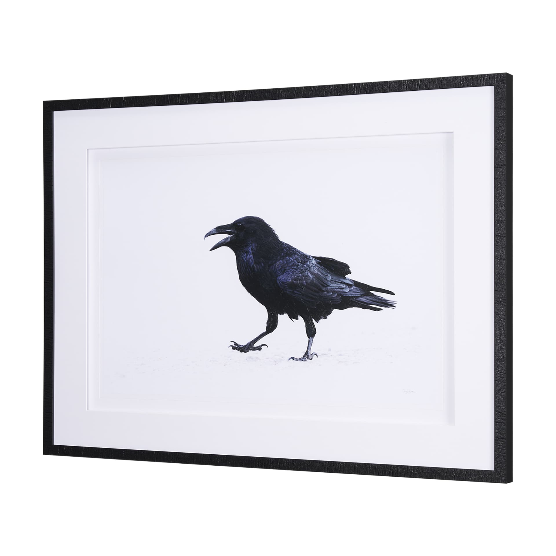 Raven Beauty by Gary Blatter a Hand Embellished Textured Framed Photo Art Print Matted under Glass — product photograph