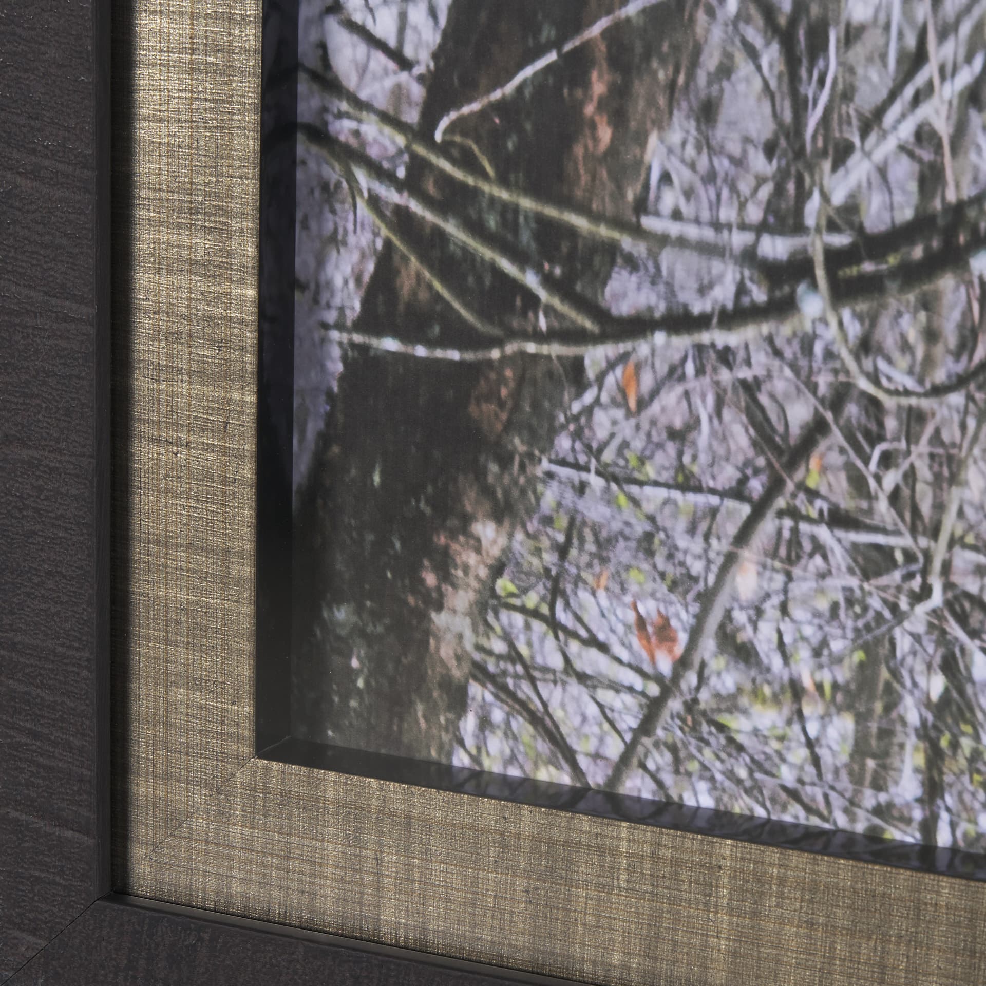 Branchscape Moss - Reflect by Mikael Svensson a Framed Photo Art Print Matted under Glass — product photograph