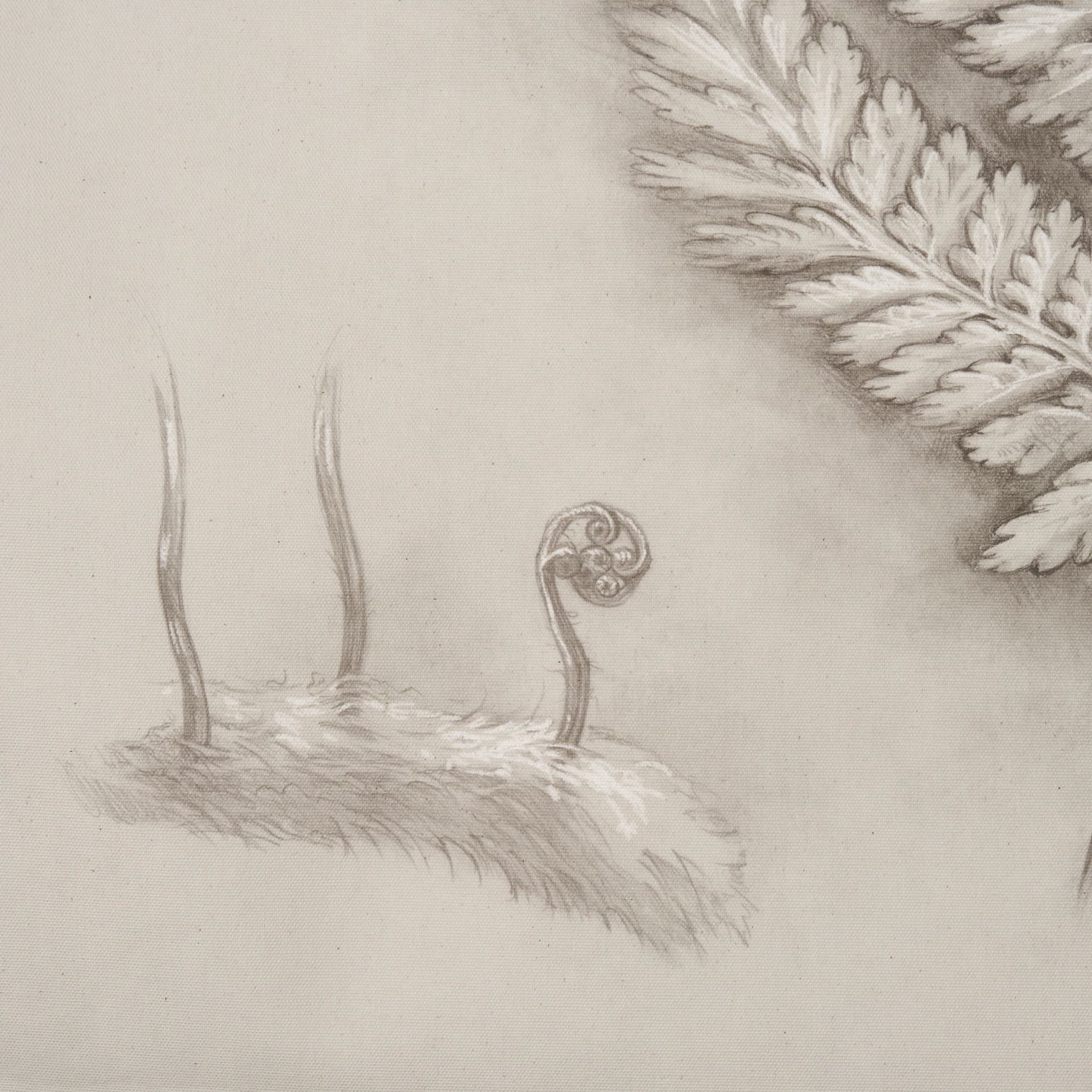 Fern Study II (Davallia Fejeensis) by Mercana Studio a Hand Embellished Framed Art Print — product photograph