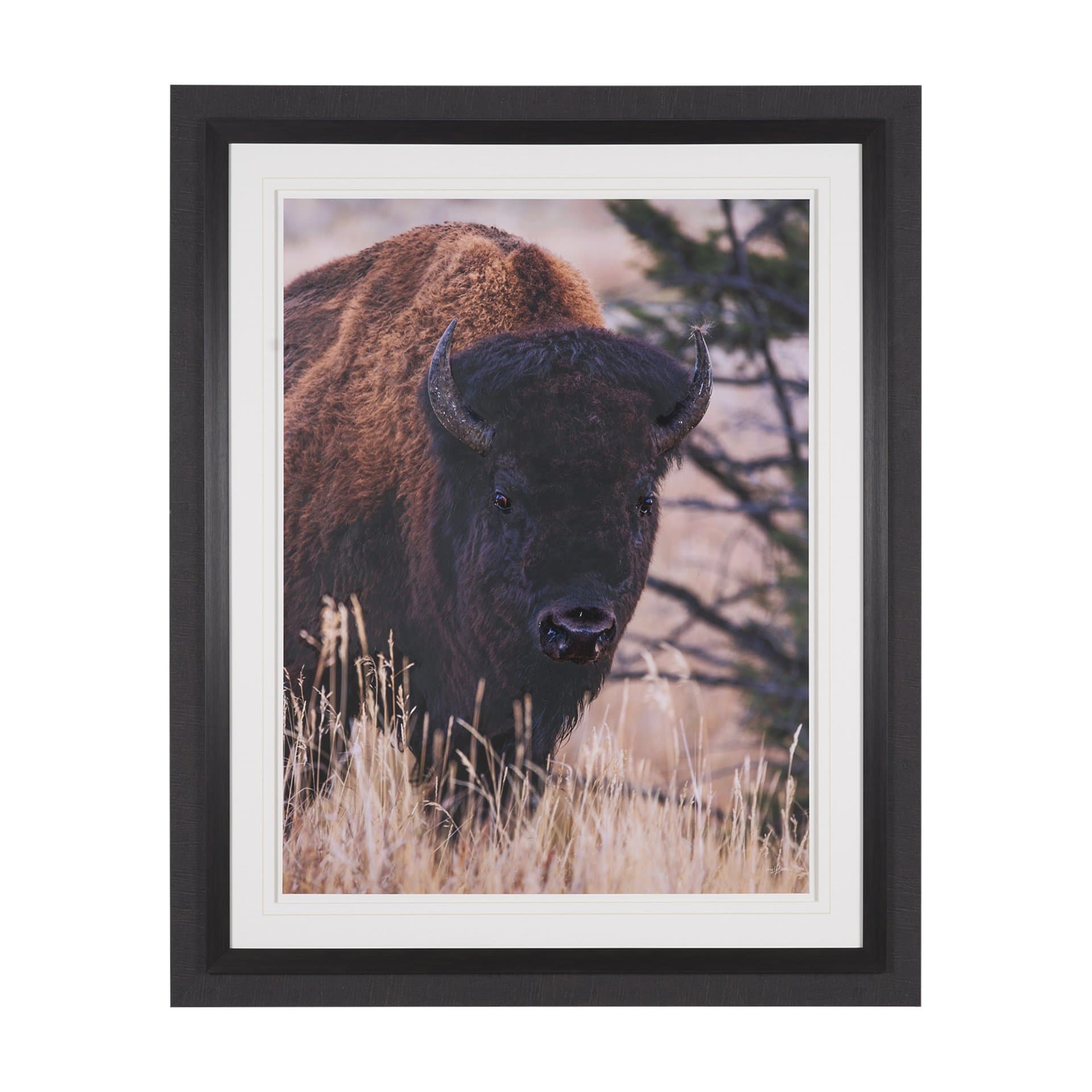 Stop Horsing Around by Gary Blatter Hand Embelished Framed Art Print Matted under Glass — product photograph