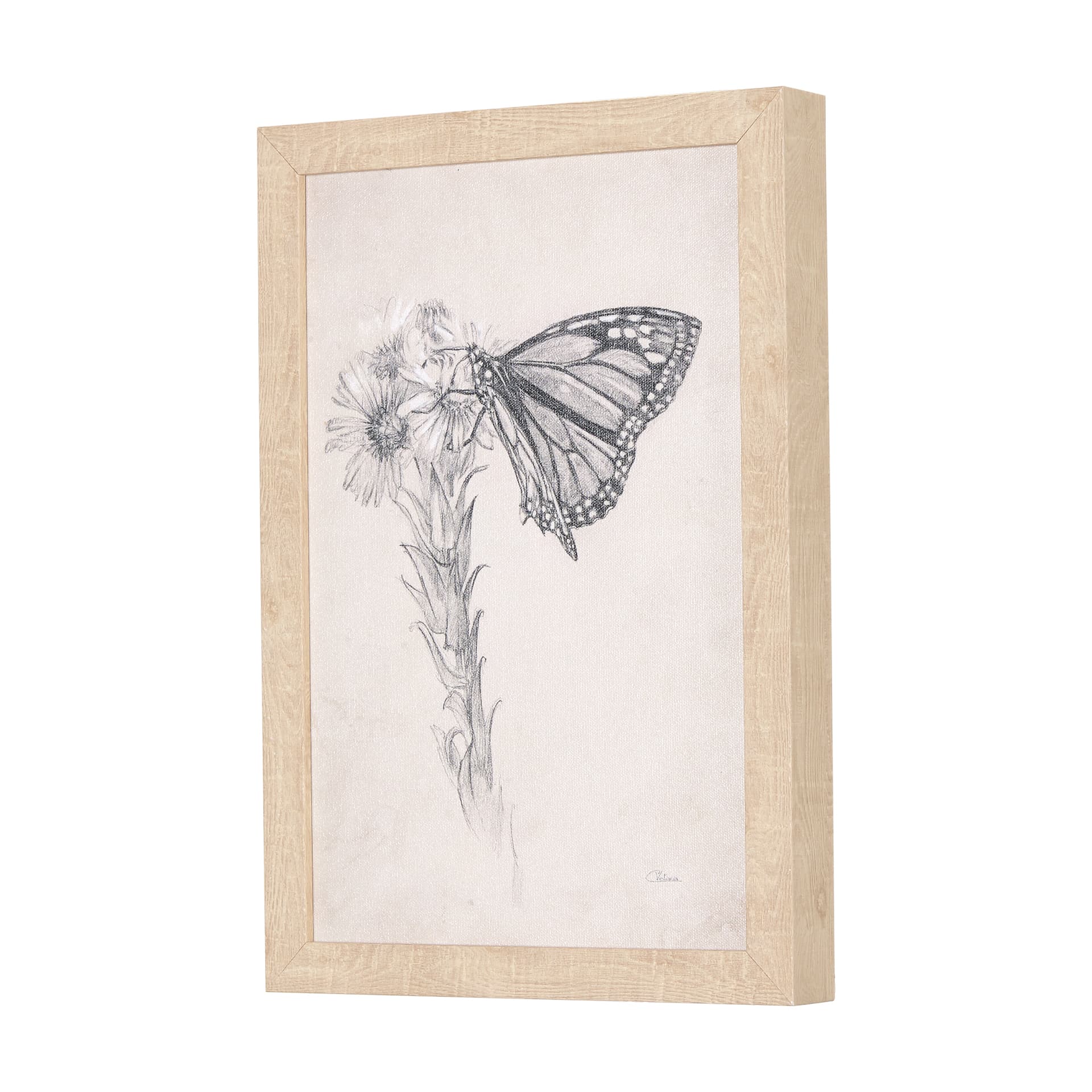 Chamomile Drawing I by Mercana Studio a Hand Embellished Textured Framed Art Print — product photograph