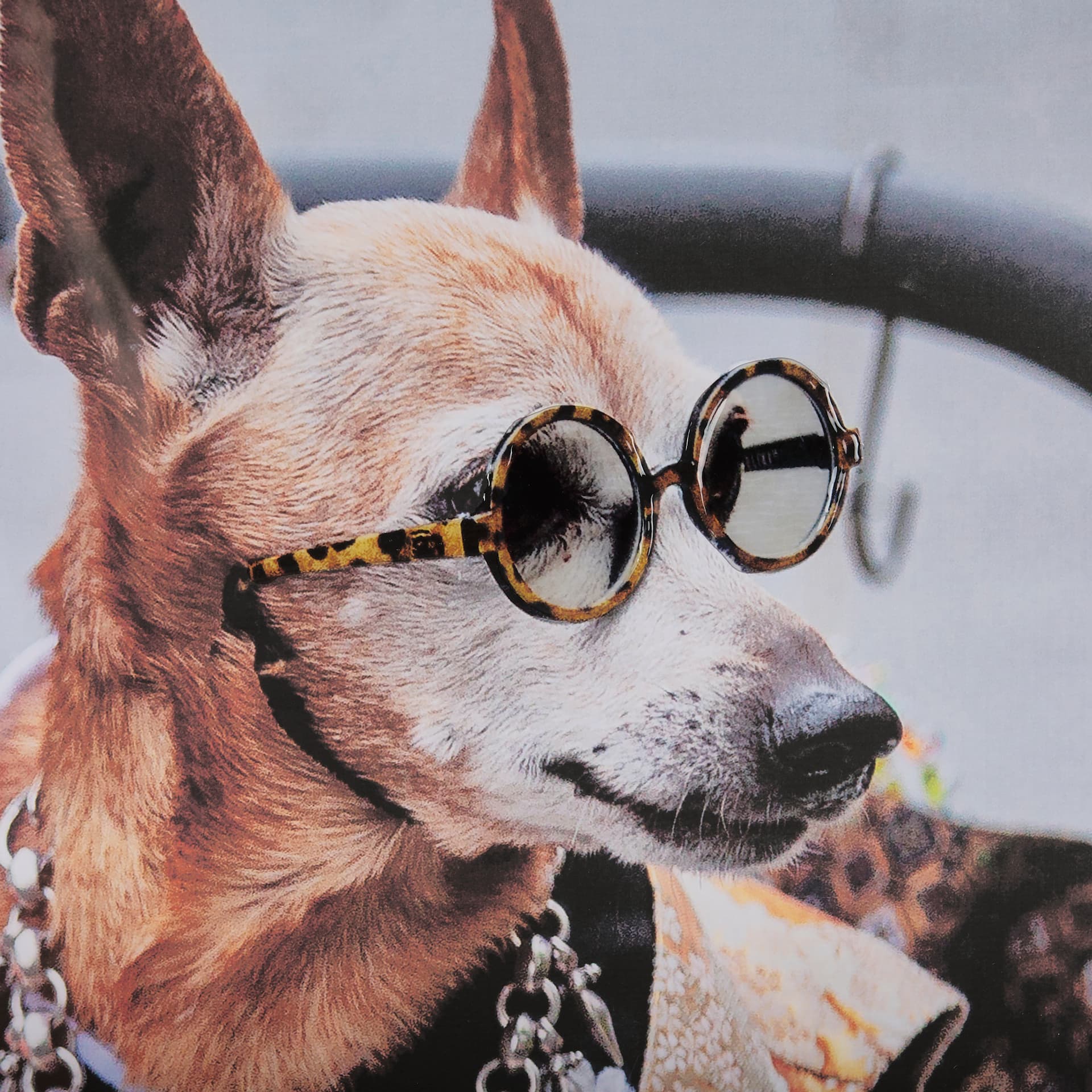 Clever Canines by Mercana Studio a Hand Embellished Textured Framed Photo Art Print Matted under Gla — product photograph