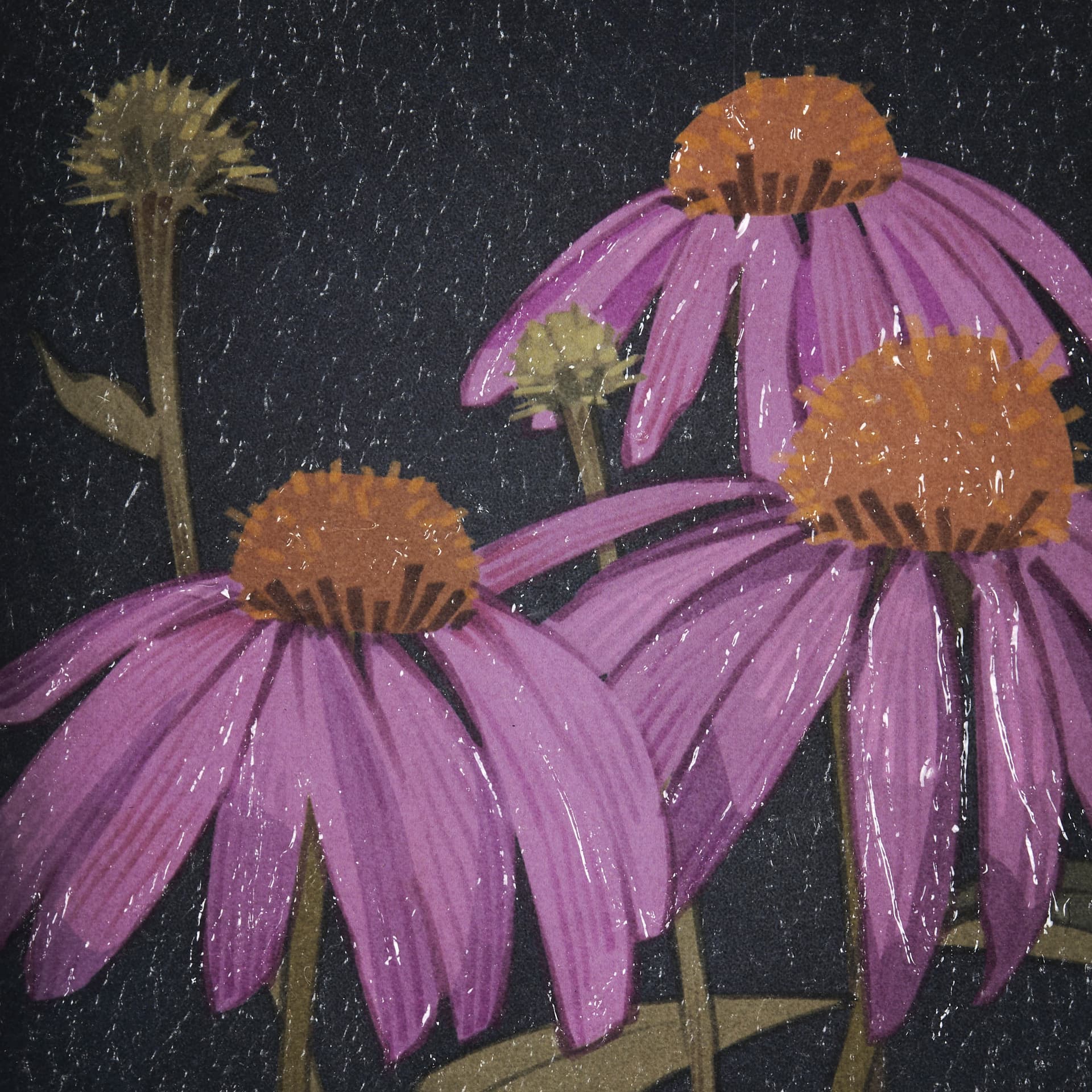 Flower Portrait VI by Mercana Studio a Hand Embellished Textured Framed Art Print Matted under Glass — product photograph