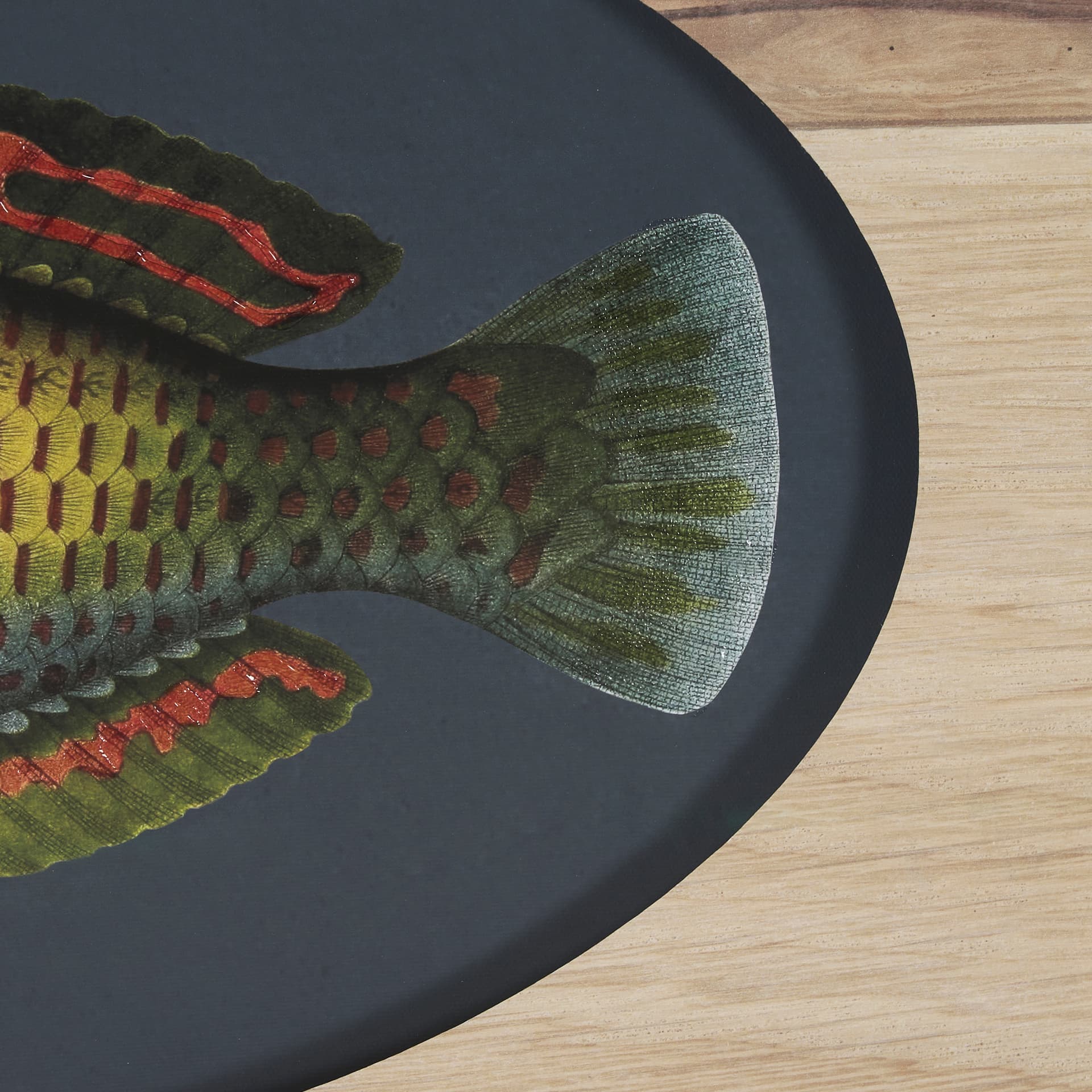 Scarus Ghobban by Mercana Studio a Hand Embellished Textured Framed Art Print Matted under Glass — product photograph