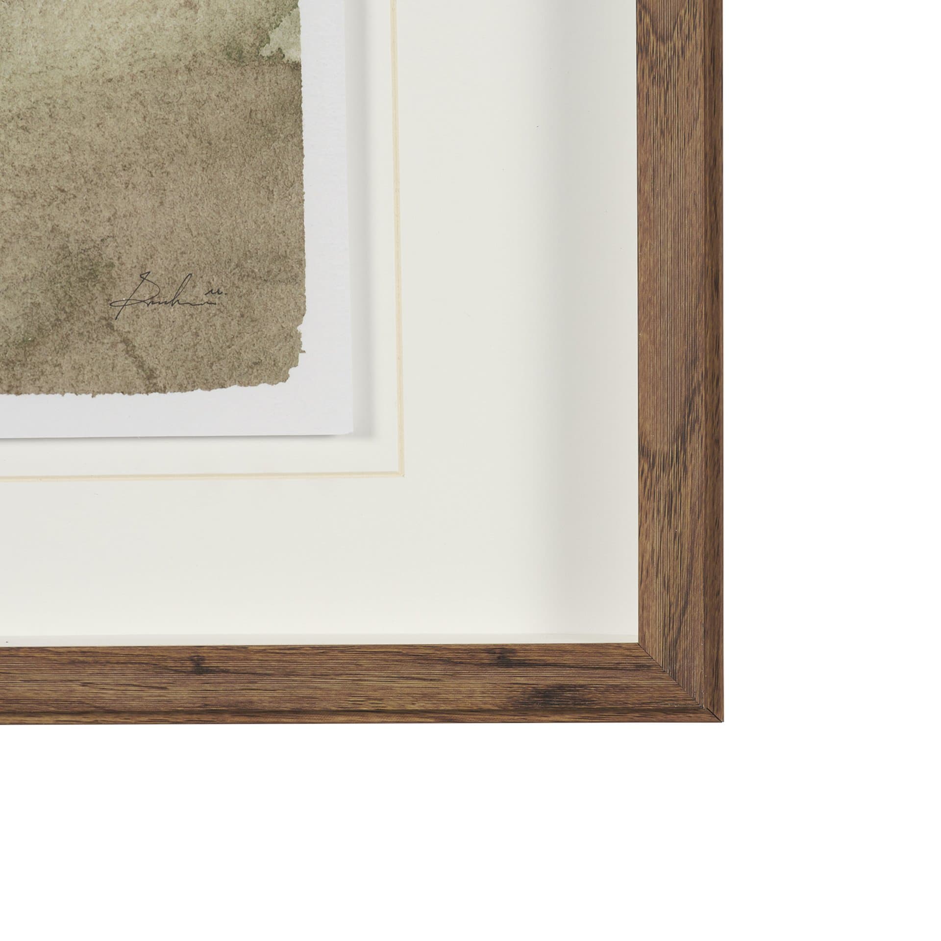 Butterfly Ranunculus I by Mercana Studio Hand-Embellished Framed Artwork Matted under Glass — product photograph