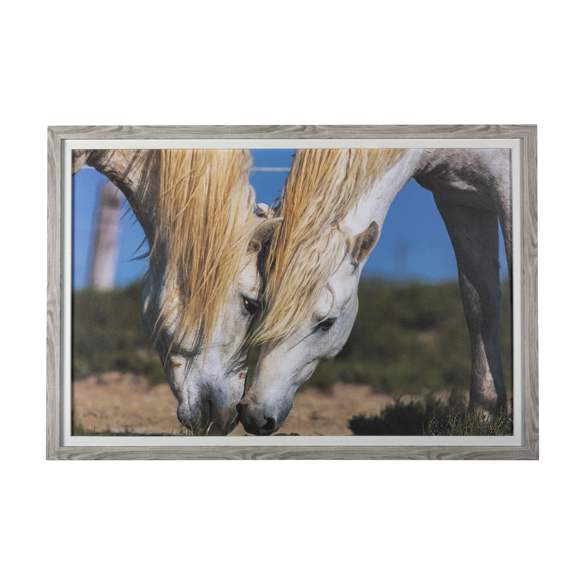 Nuzzled Together by Mercana Studio a Hand Embellished Textured Framed Art Photo Matted under Glass — product photograph