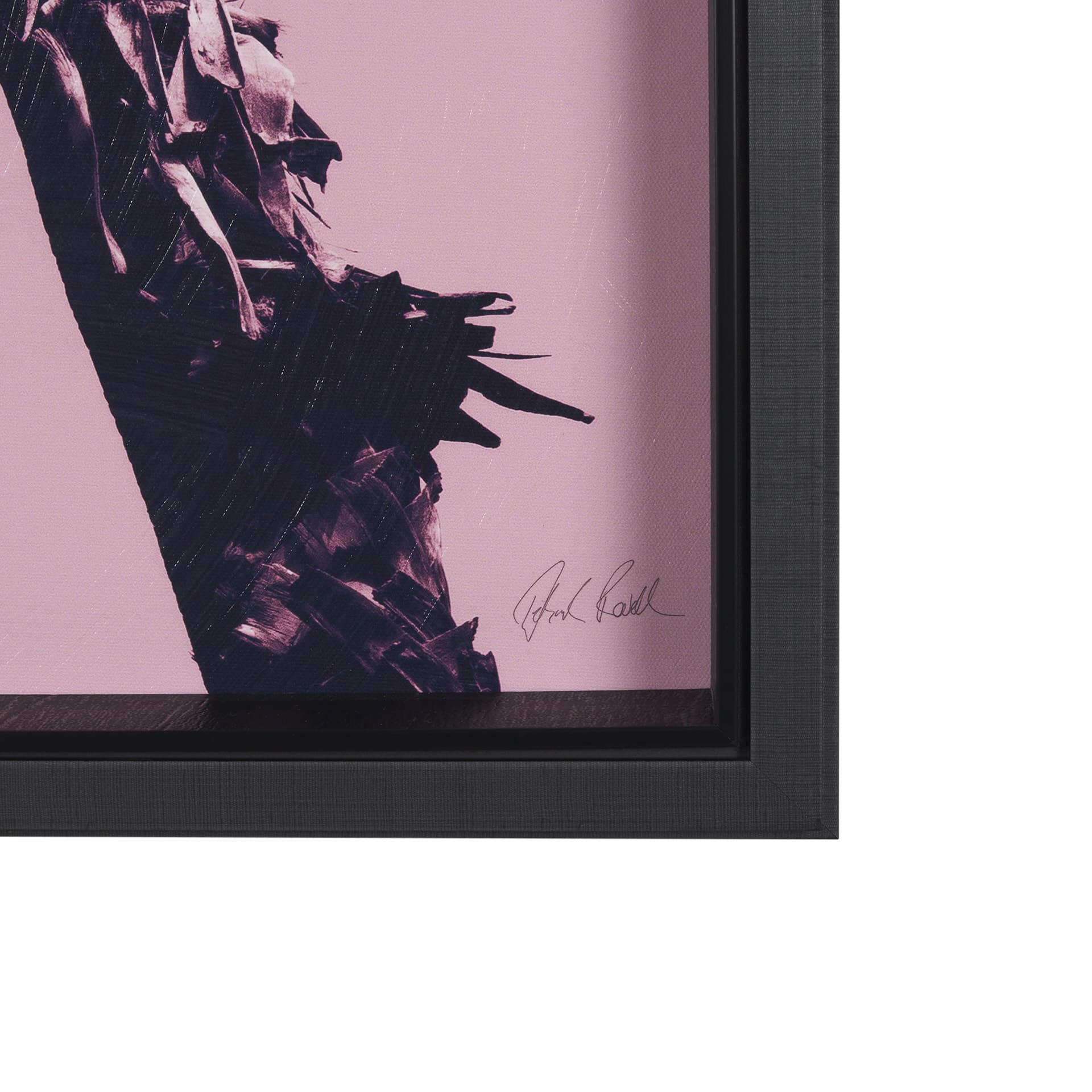 Pink Palms II by Deborah Revell a Hand Embellished Framed Photo Art Print — product photograph
