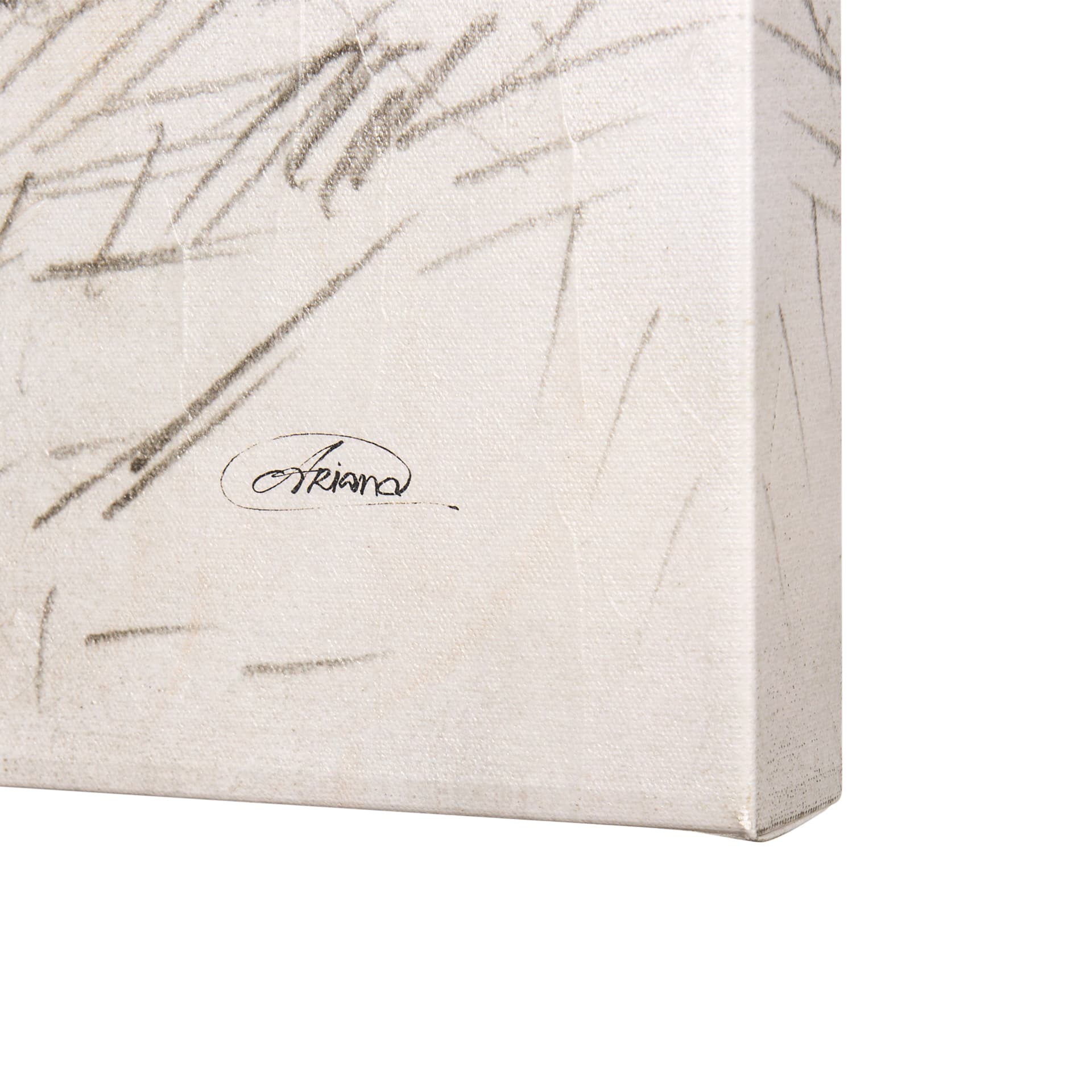 Old West Collection I ( Farm view) by Mercana Studio a Hand Embellished Textured Canvas — product photograph