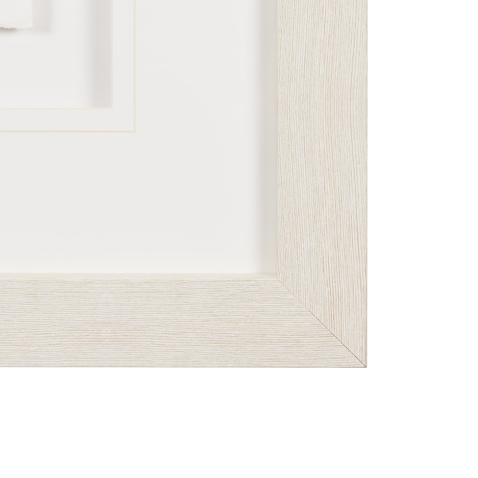 Paradise Foliage III by Hardip Kaur a Framed Art Print Matted under Glass — product photograph