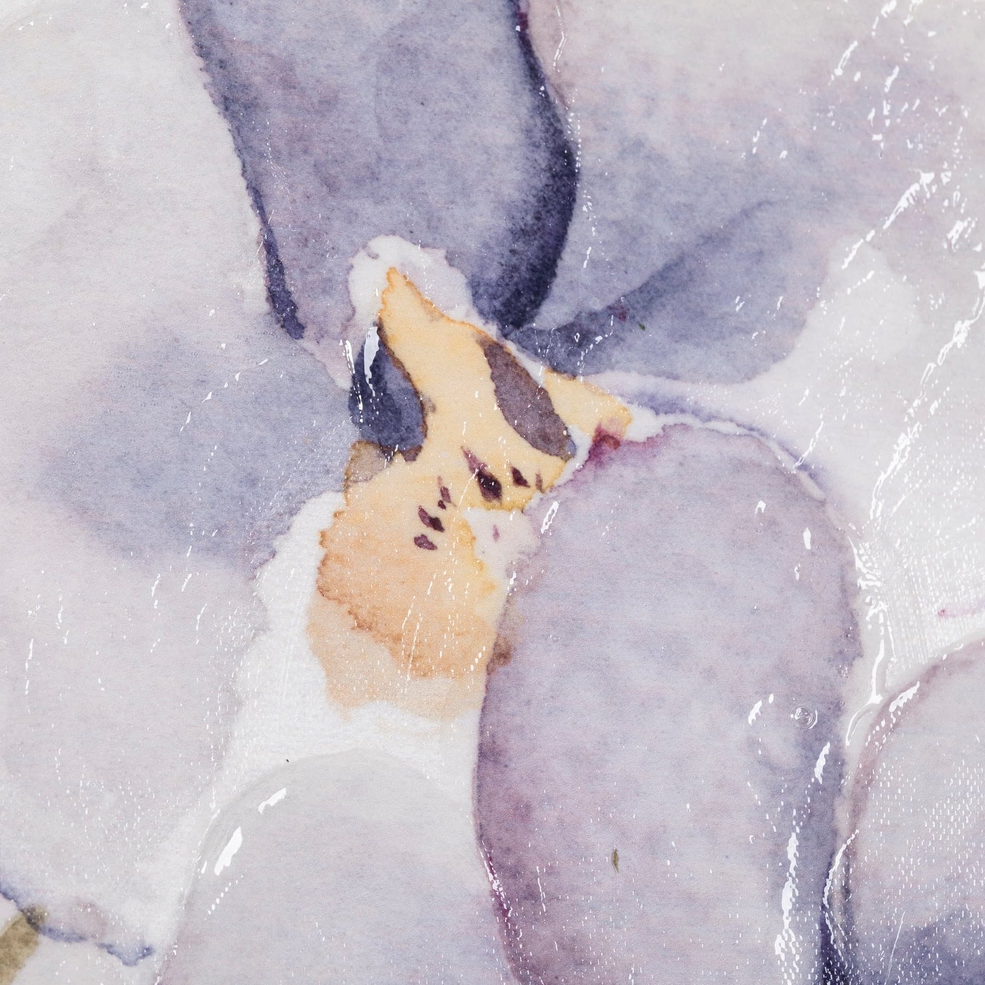 Orchid I by Gabrielle Campbell a Hand Embellished Textured Canvas — product photograph