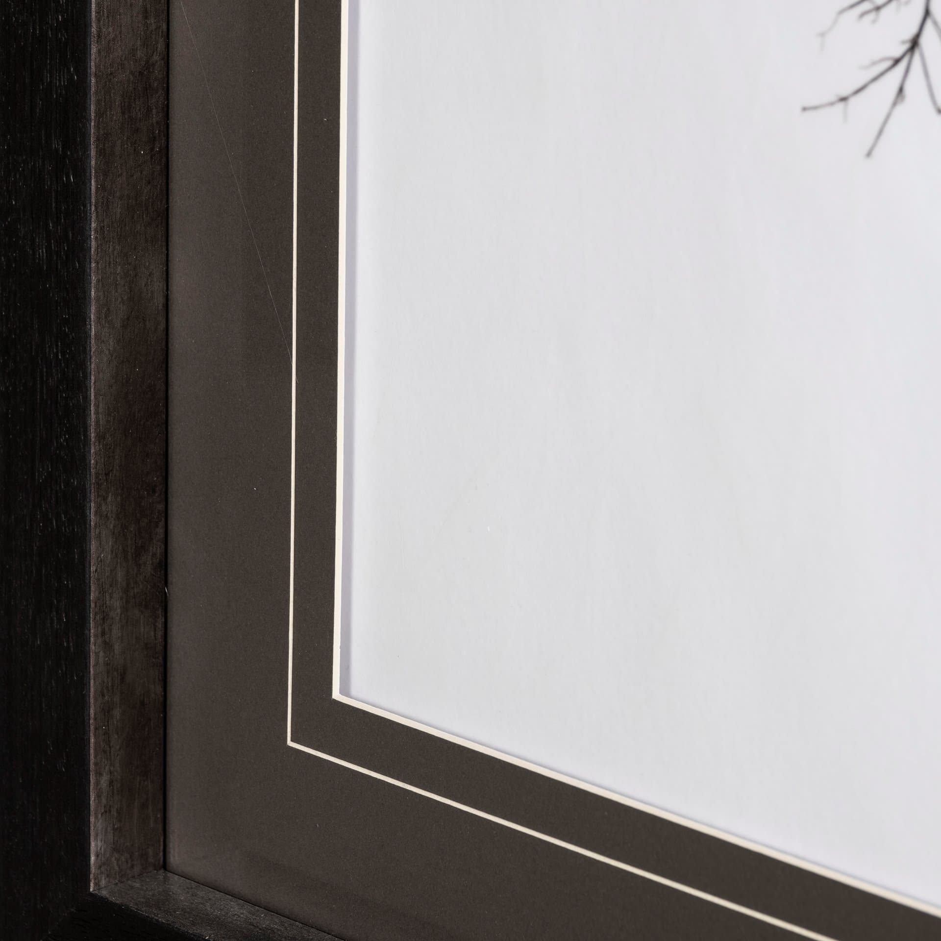 Boabab Tree I by Tiedge a Framed Art Print Matted under Glass — product photograph