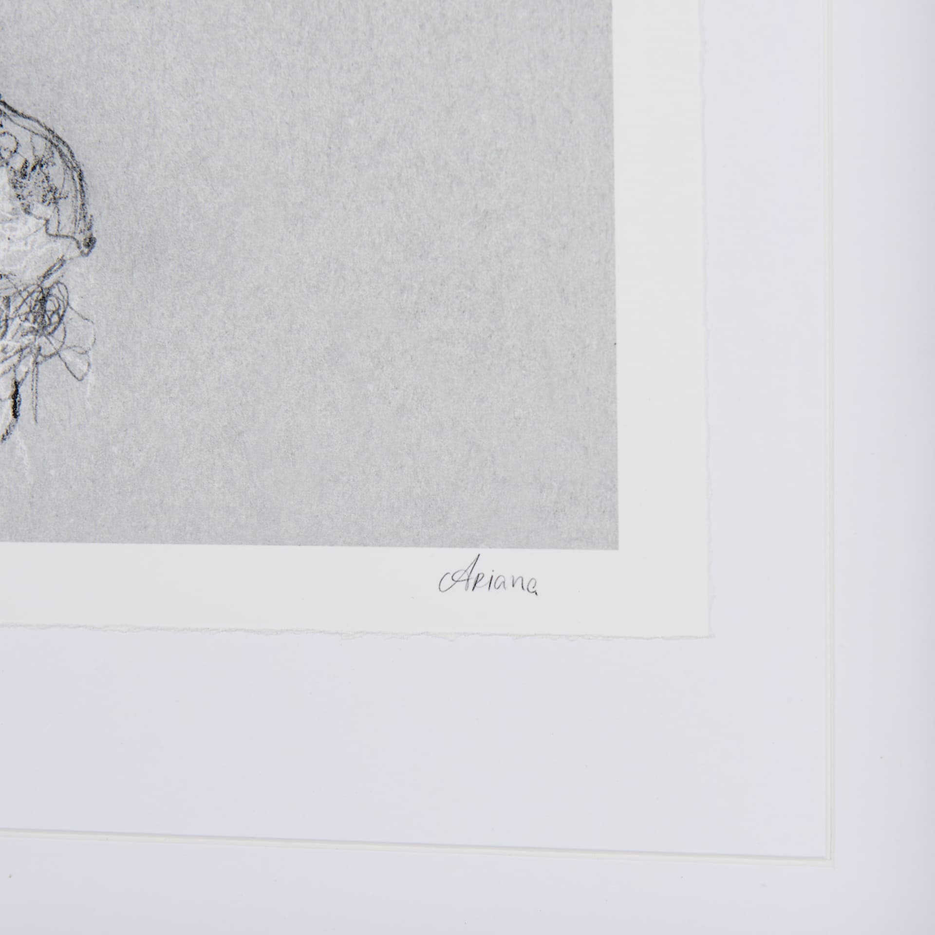 Botanical sketches I (Grey) by Mercana Studio Hand Embellished Framed Art Print Matted under Glass — product photograph