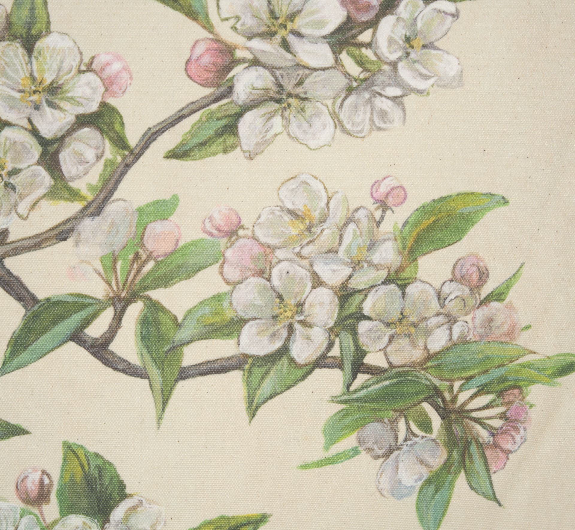 Botanical Study-Malus Sylvestris by Mercana Studio a Hand Embelished Textured Framed Art Print — product photograph