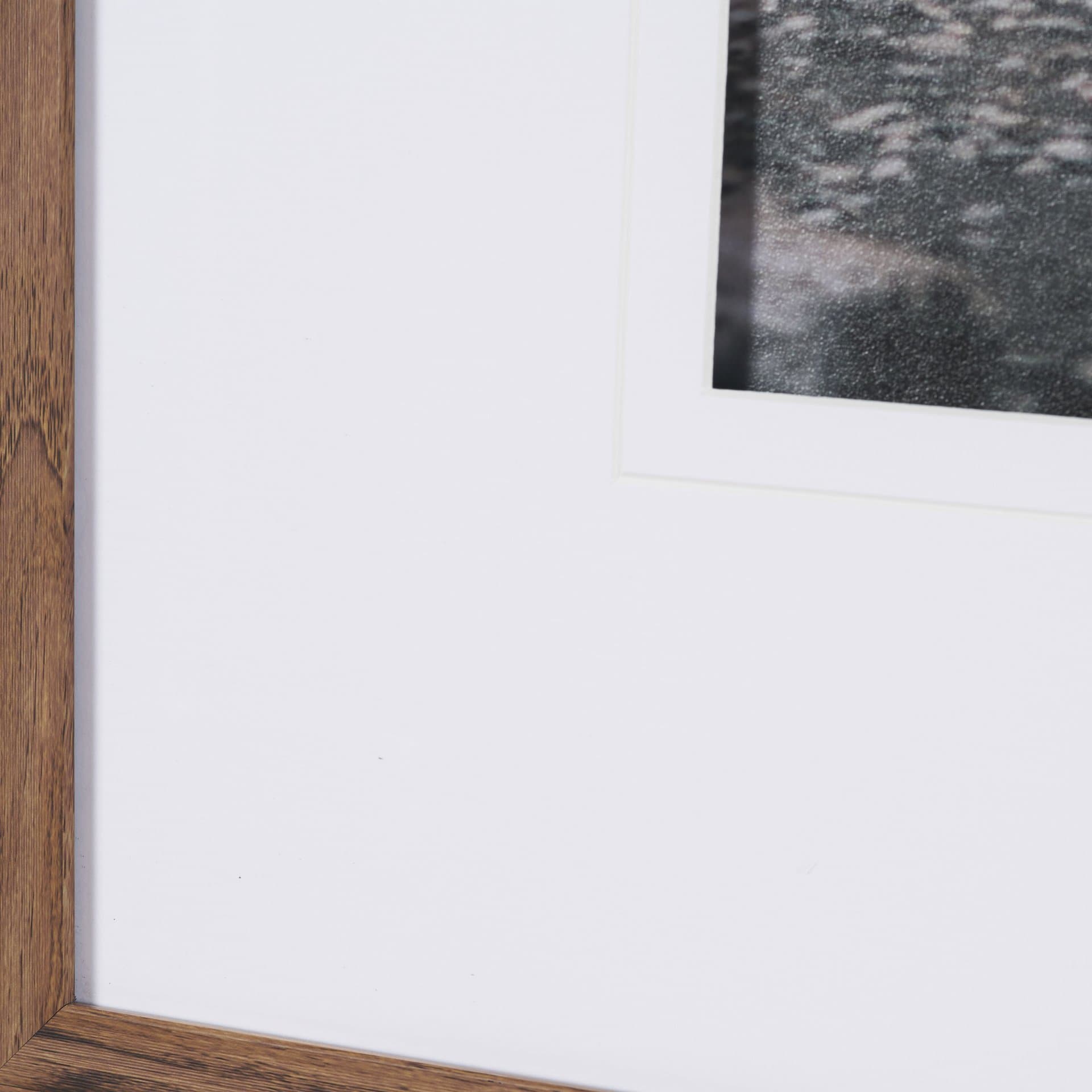 Tree of Life by Stefan and Audrey Textured Framed Photo Print Matted under Glass — product photograph