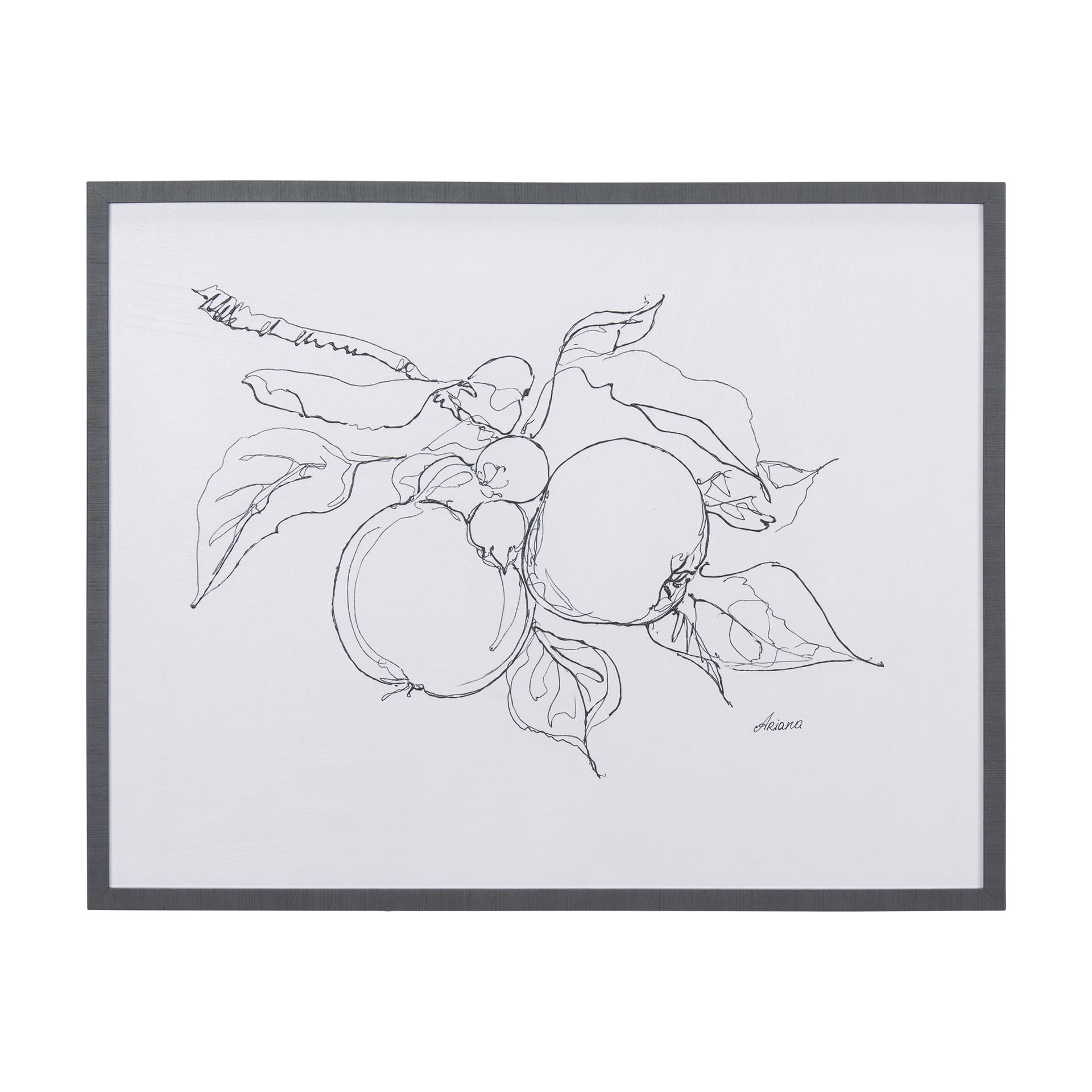 Fruit Sketch Apple by Mercana Studio a Hand Embellished Textured Framed Art Print — product photograph