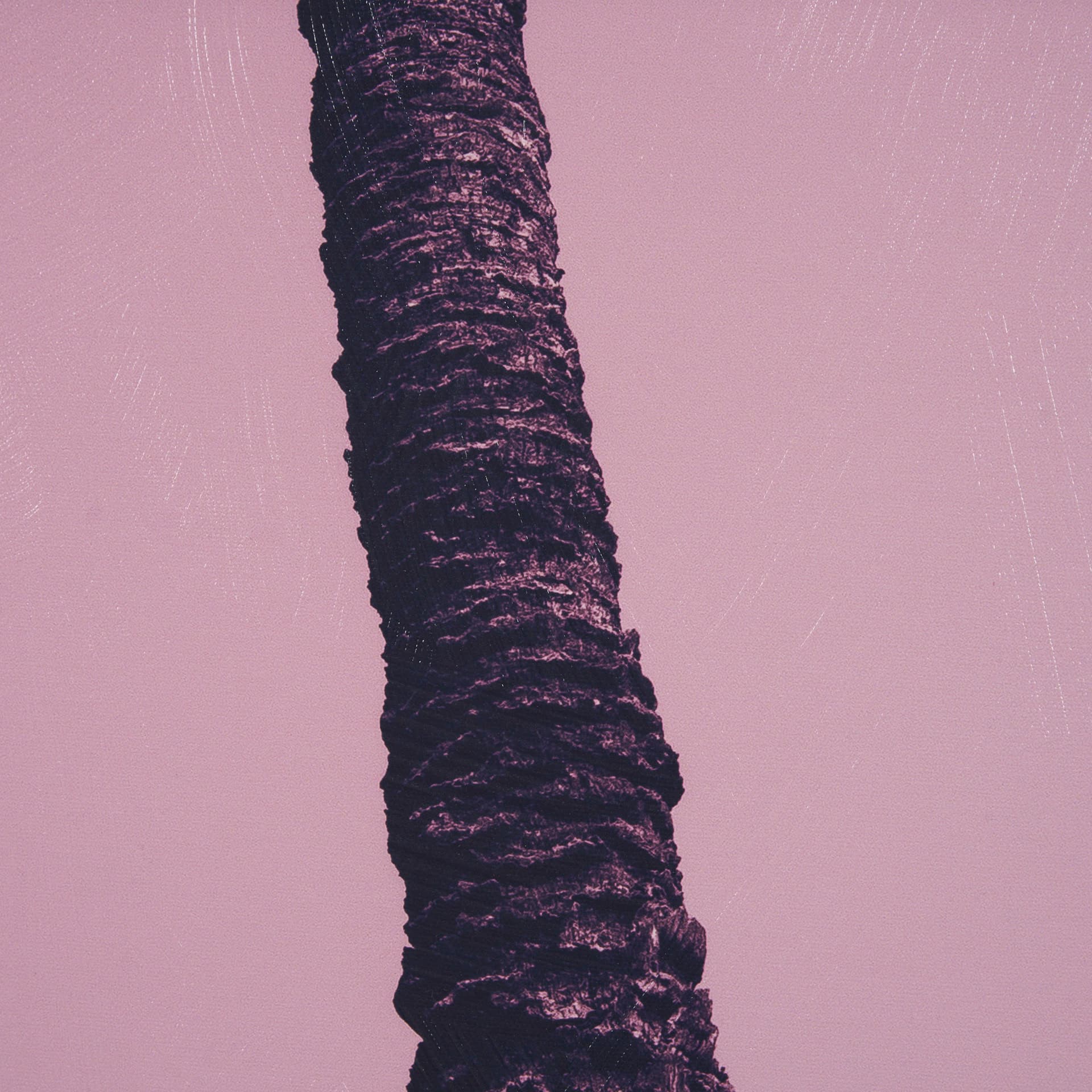 Pink Palms II by Deborah Revell a Hand Embellished Framed Photo Art Print — product photograph