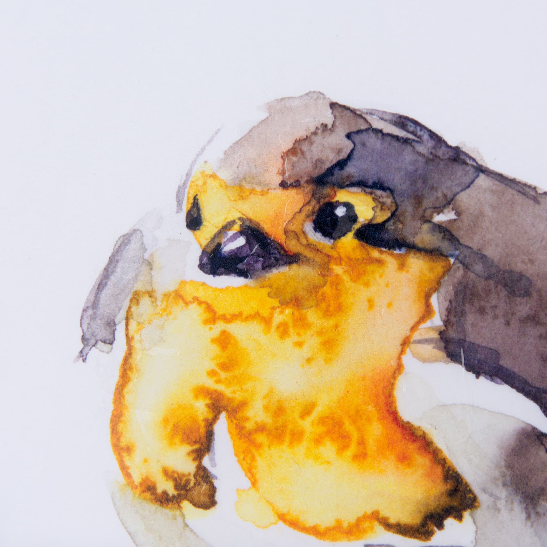 Robin III by Mercana Studio a Hand Embellished Textured Framed Art Print Matted under Glass — product photograph