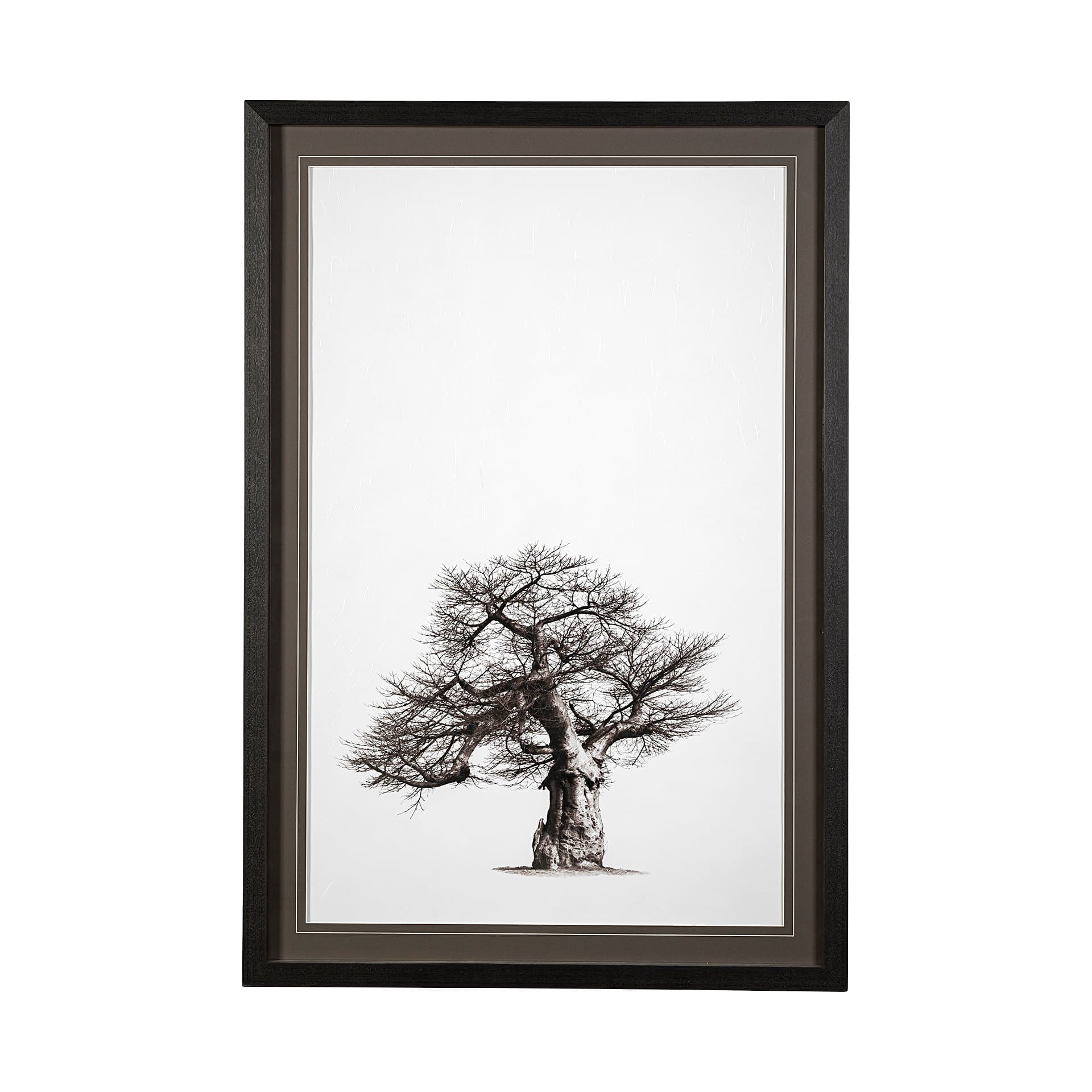 Boabab Tree I by Tiedge a Framed Art Print Matted under Glass — product photograph