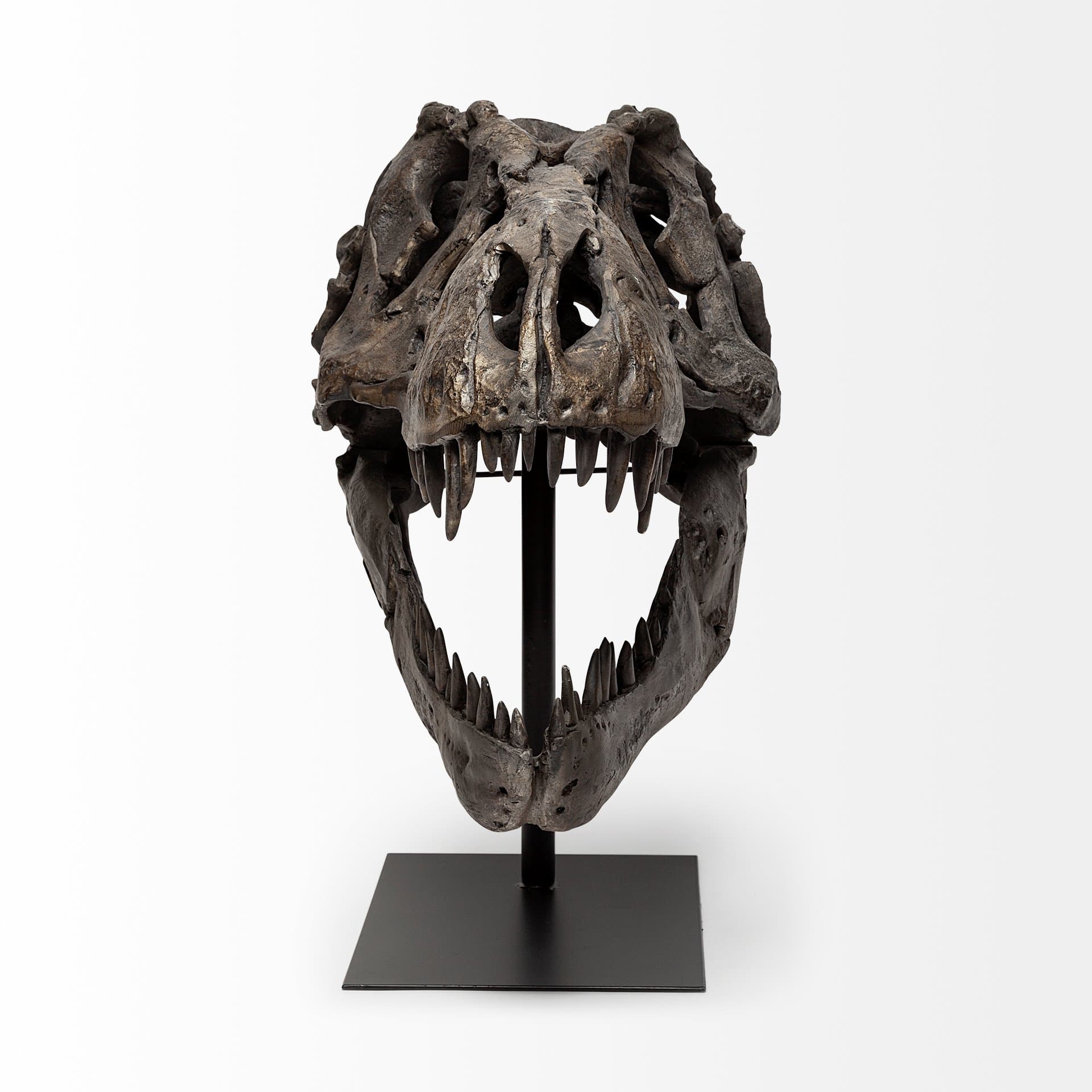 Lagrane 19L x 11W Brown Resin Tyrannosaurus T Rex Dinosaur Skull Replica — product photograph