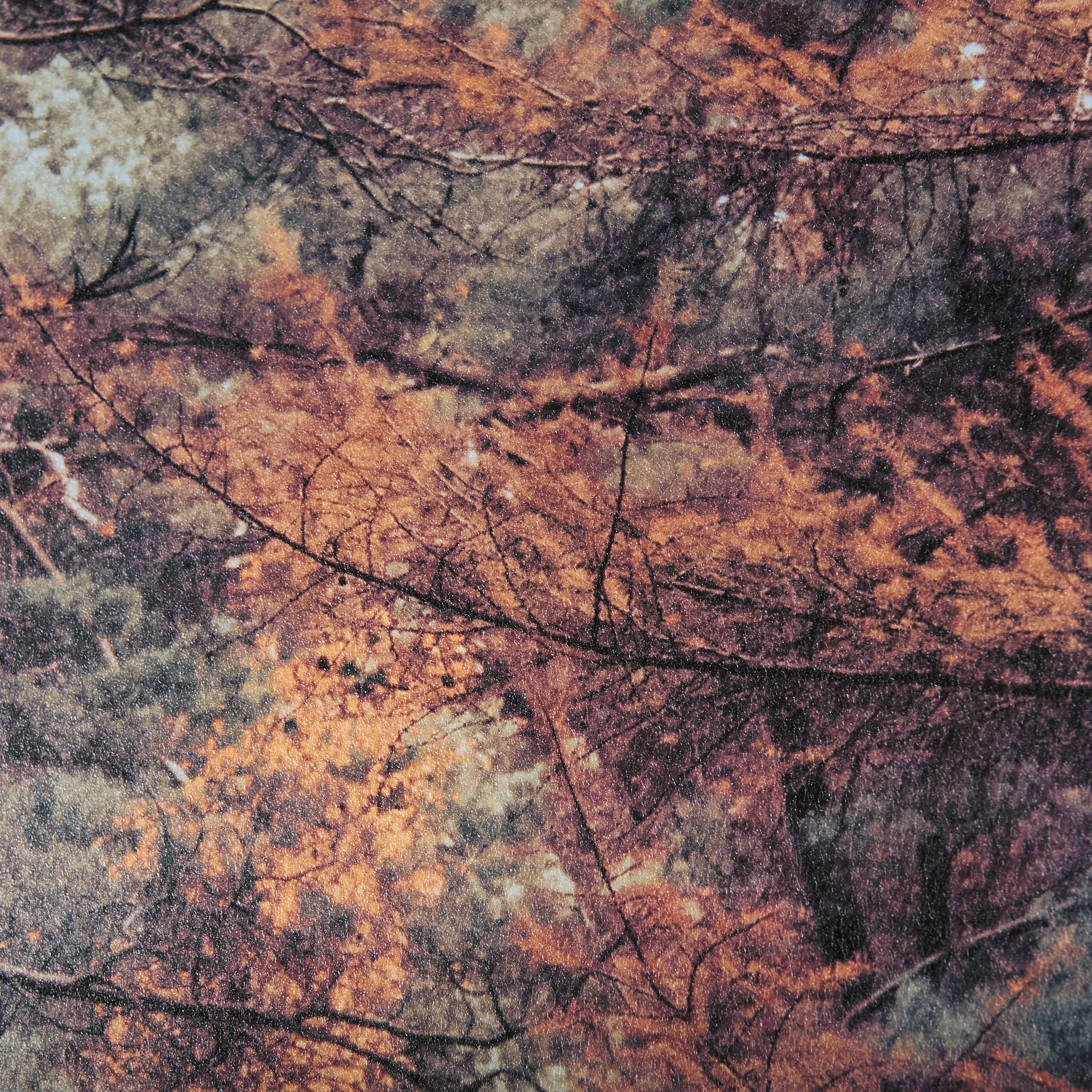 Forest Crossing by Mercana Studio a Hand Embellished Textured Framed Photo Art Print Matted under Gl — product photograph