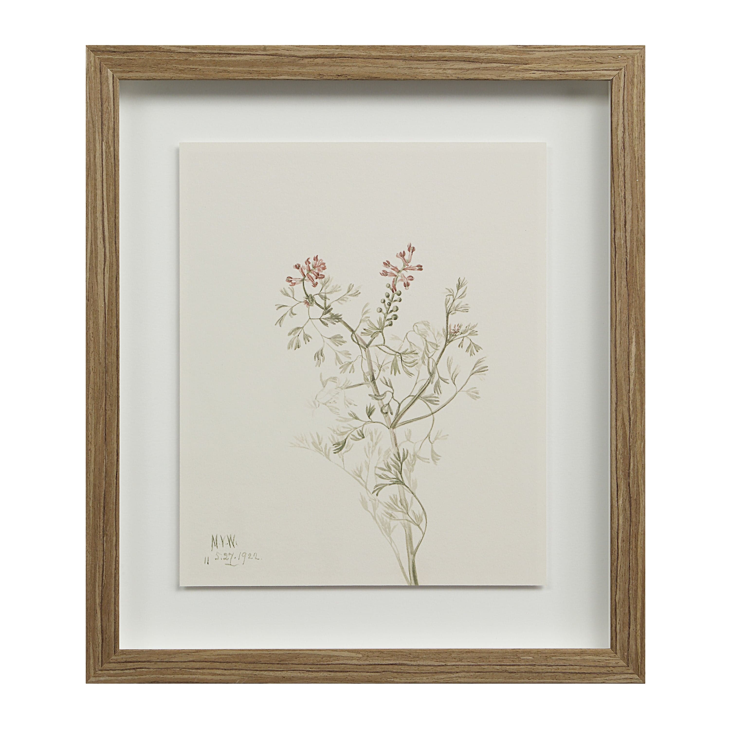 Crema — product photograph