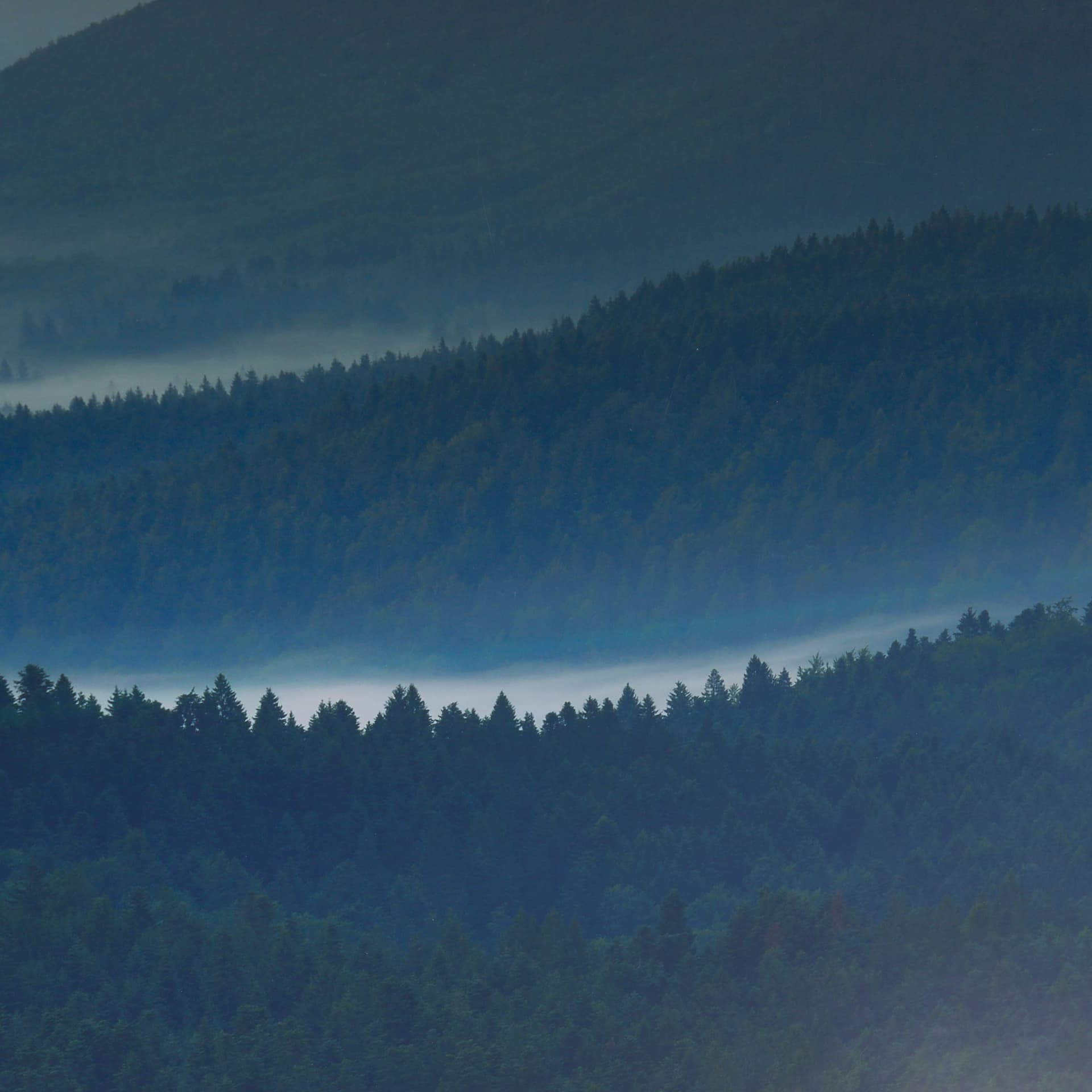Mountain Fade by Staffan Widstrand a Hand Embellished Textured Framed Art Photo Matted under Glass — product photograph