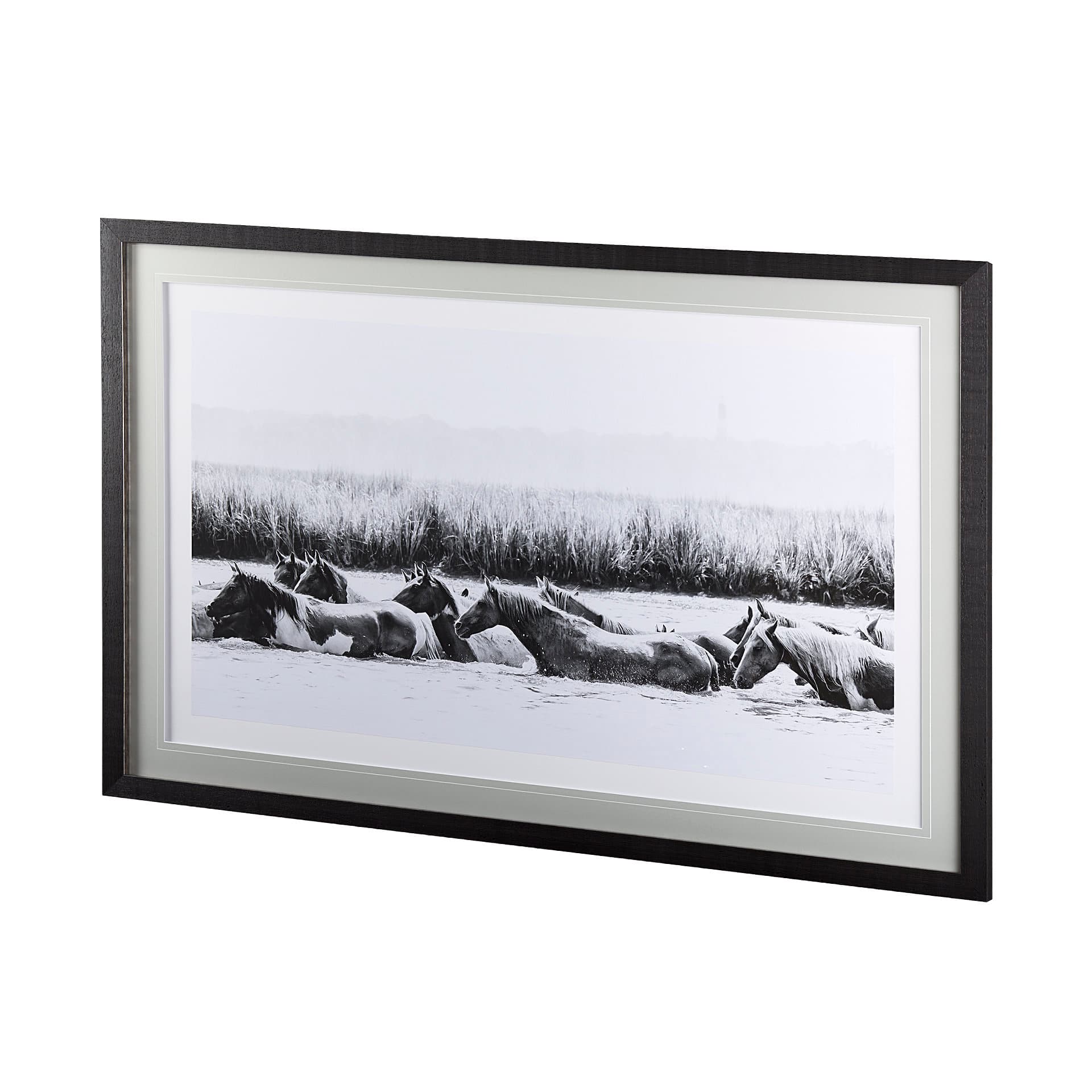 Water Horses III by PHBurchett a Framed Photo Art Print Matted under Glass — product photograph