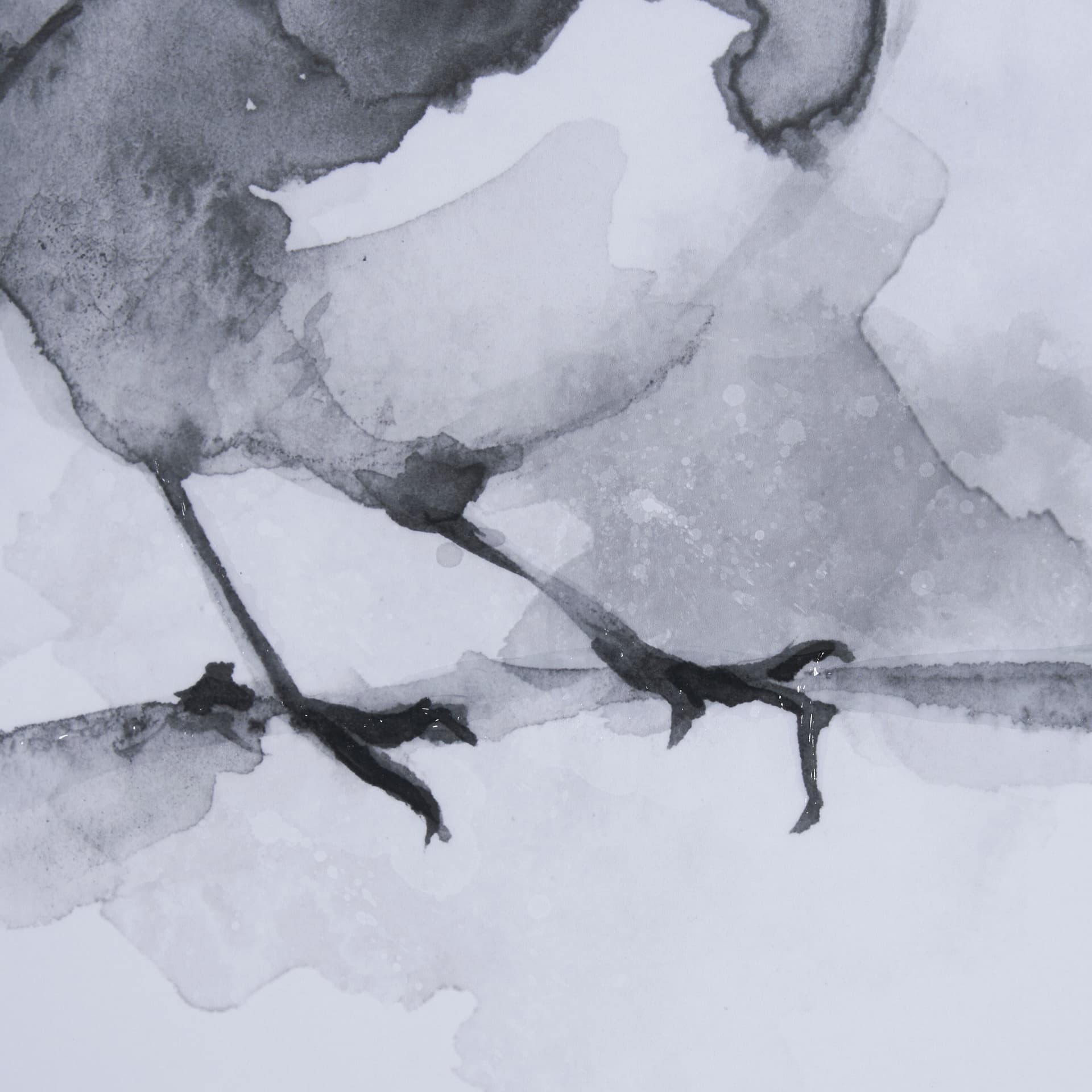 Robin BW I by Mercana Studio a Hand Embellished Textured Framed Art Print Matted under Glass — product photograph