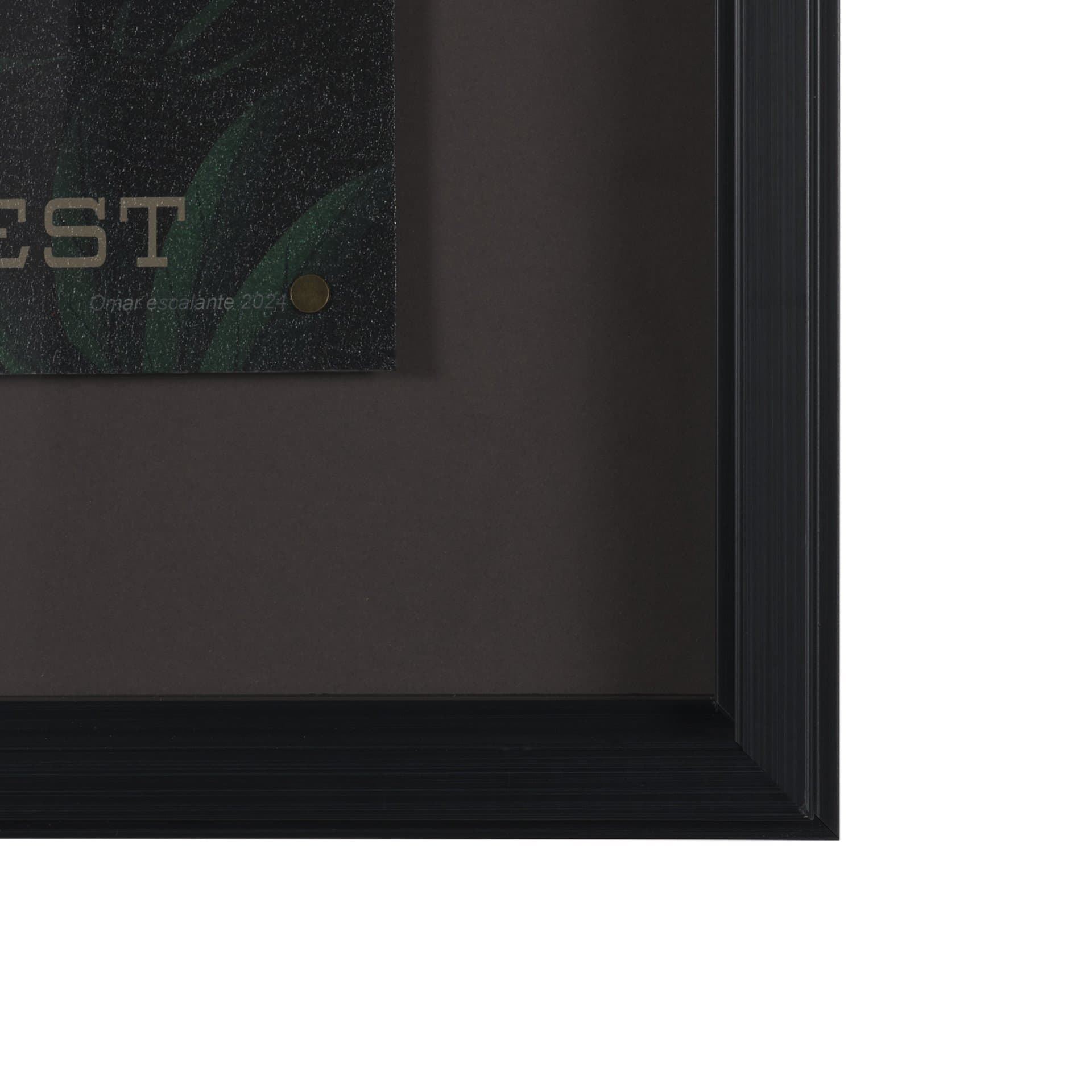 Cryptid Tourism I by Omar Escalante Textured Framed Artwork Matted under Glass — product photograph