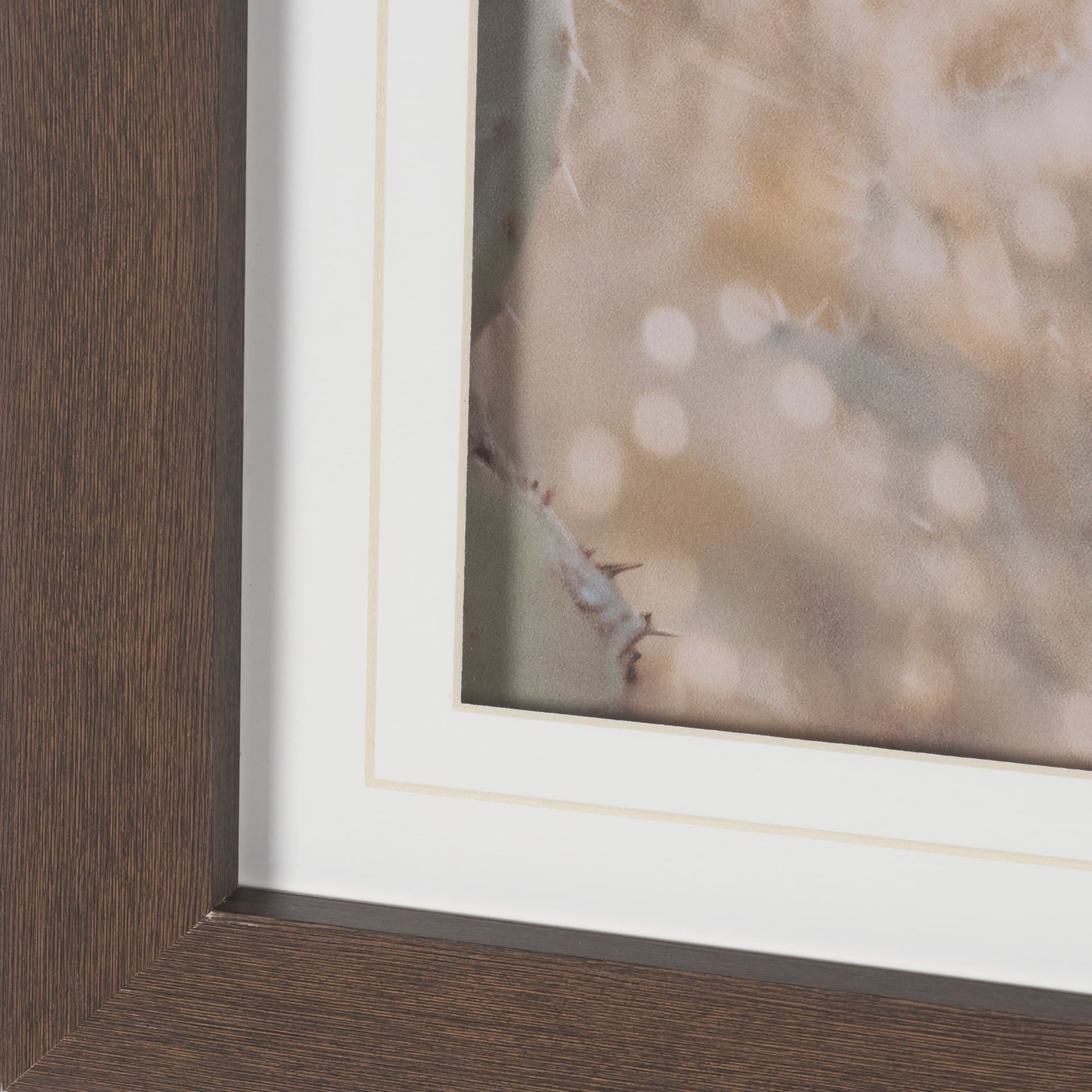 Big Bend National Park by Nathan Larson FramedPhoto Print Matted under Glass — product photograph