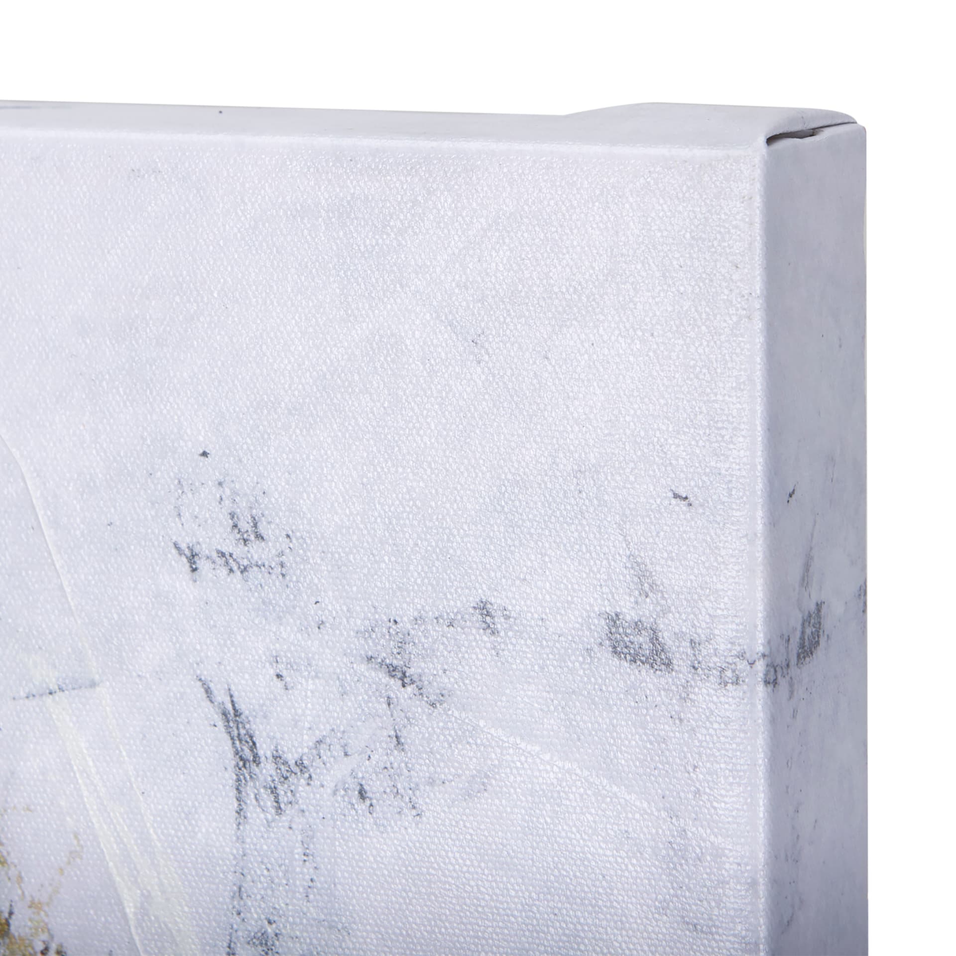 Animal Portrait III by Mercana Studio a Hand Embellished Textured Canvas — product photograph