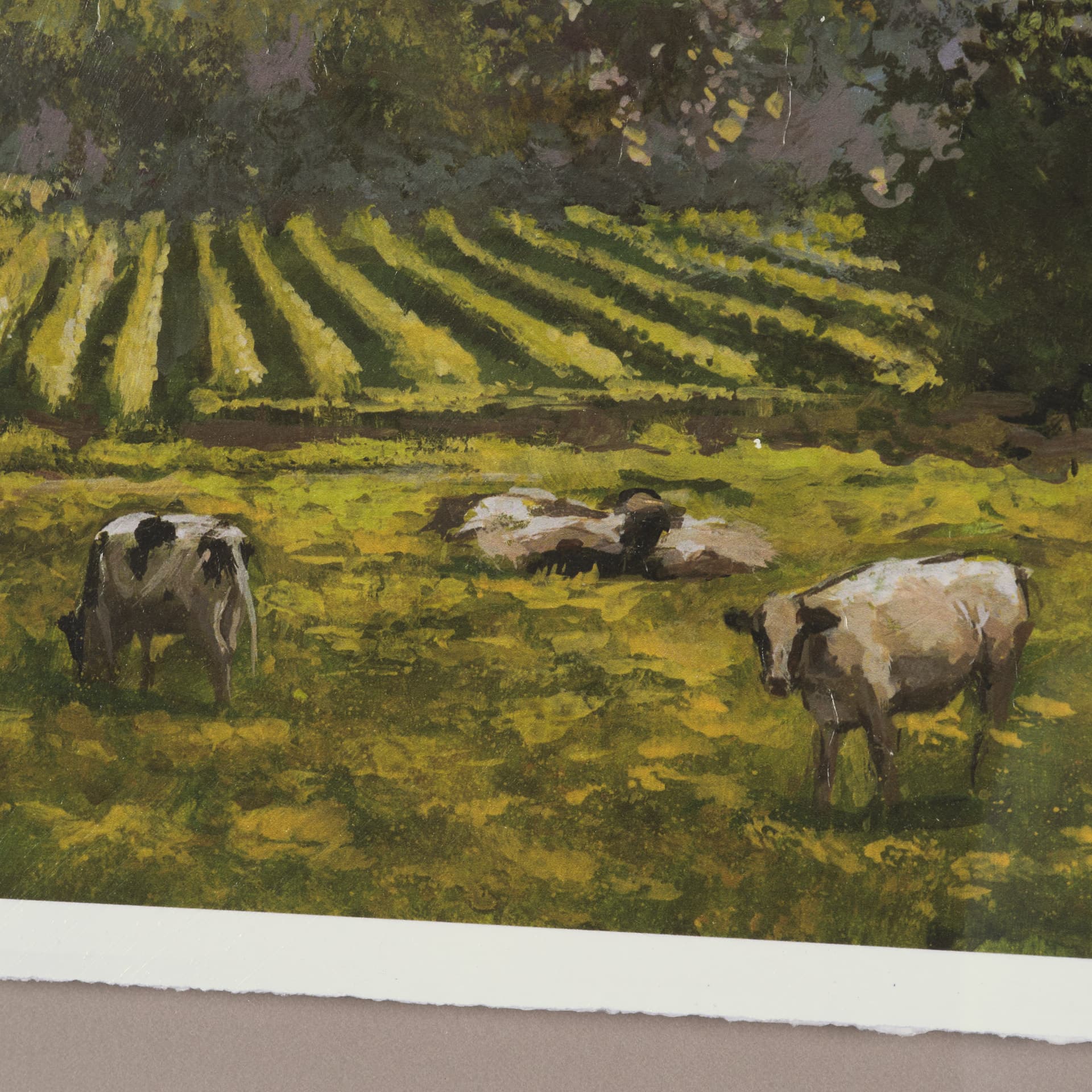 Country View(Set of 6) by Mercana Studio Hand-Embellished Textured Framed Artwork Matted under Glass — product photograph