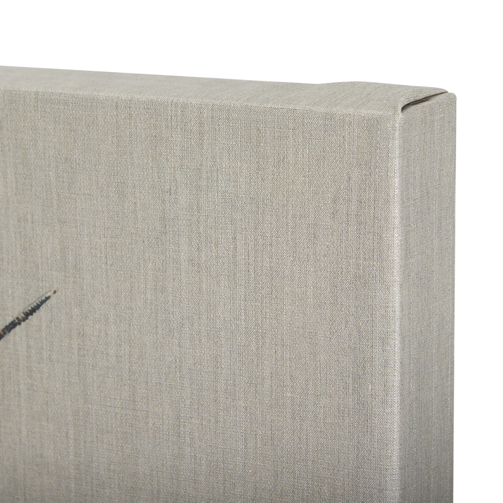 Moth III by Mercana Studio a Hand Embellished Textured Canvas — product photograph