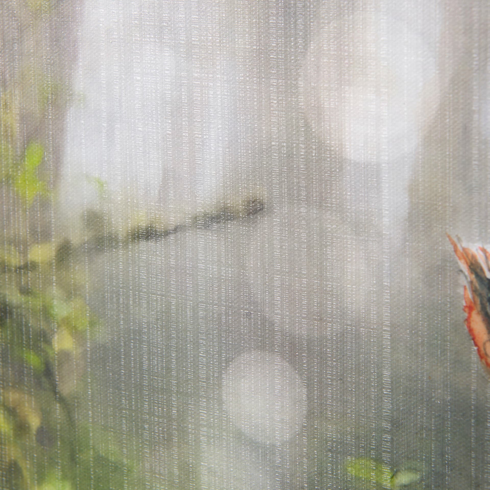 Forest Squirrel by Mercana Studio a Hand Embellished Textured Canvas — product photograph