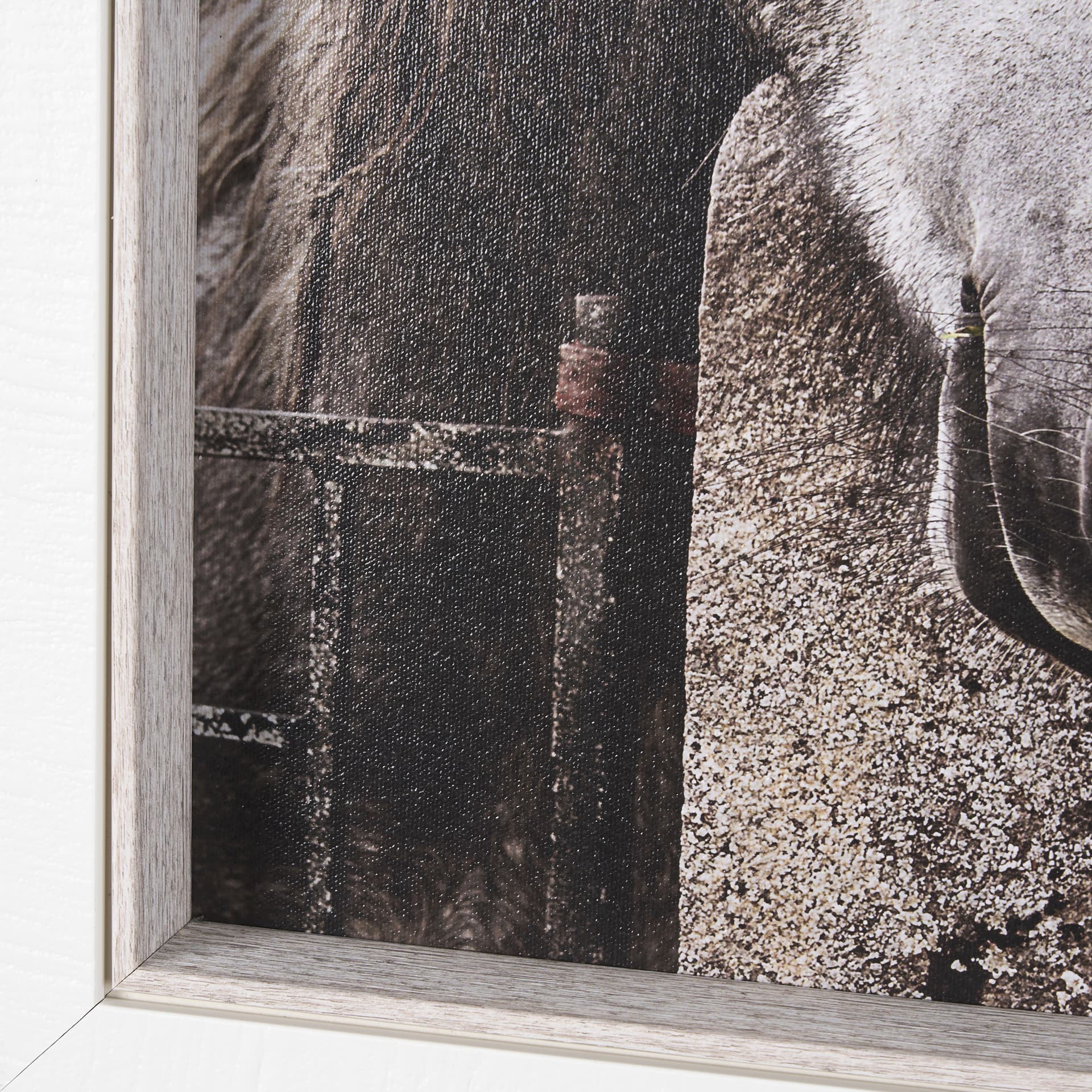 Just Let Me Scratch by Arabella Studios a Hand Embellished Textured Framed Photo Art Print — product photograph