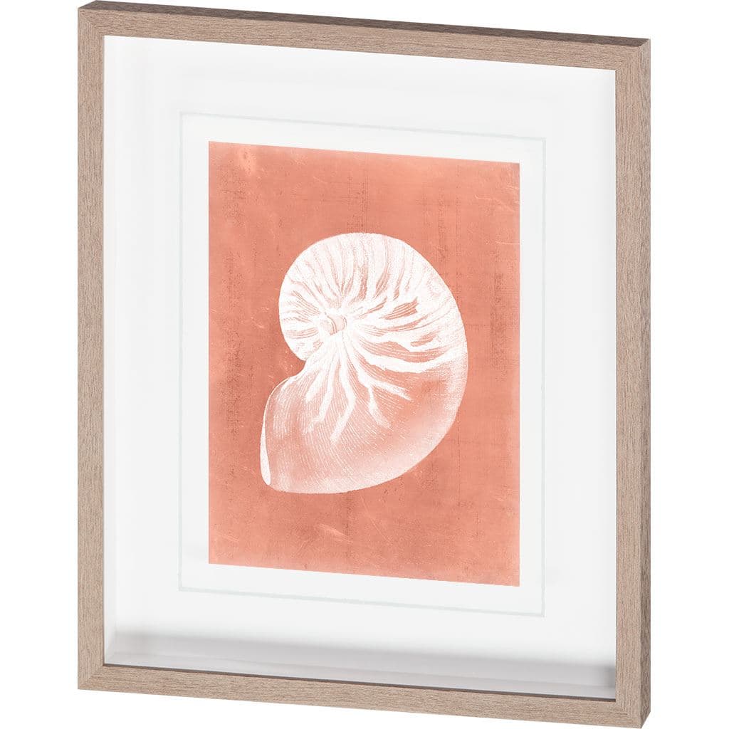 Sealife on Coral V by Vision Studio a Hand Embellished Textured Framed Art Print Matted under Glass — product photograph