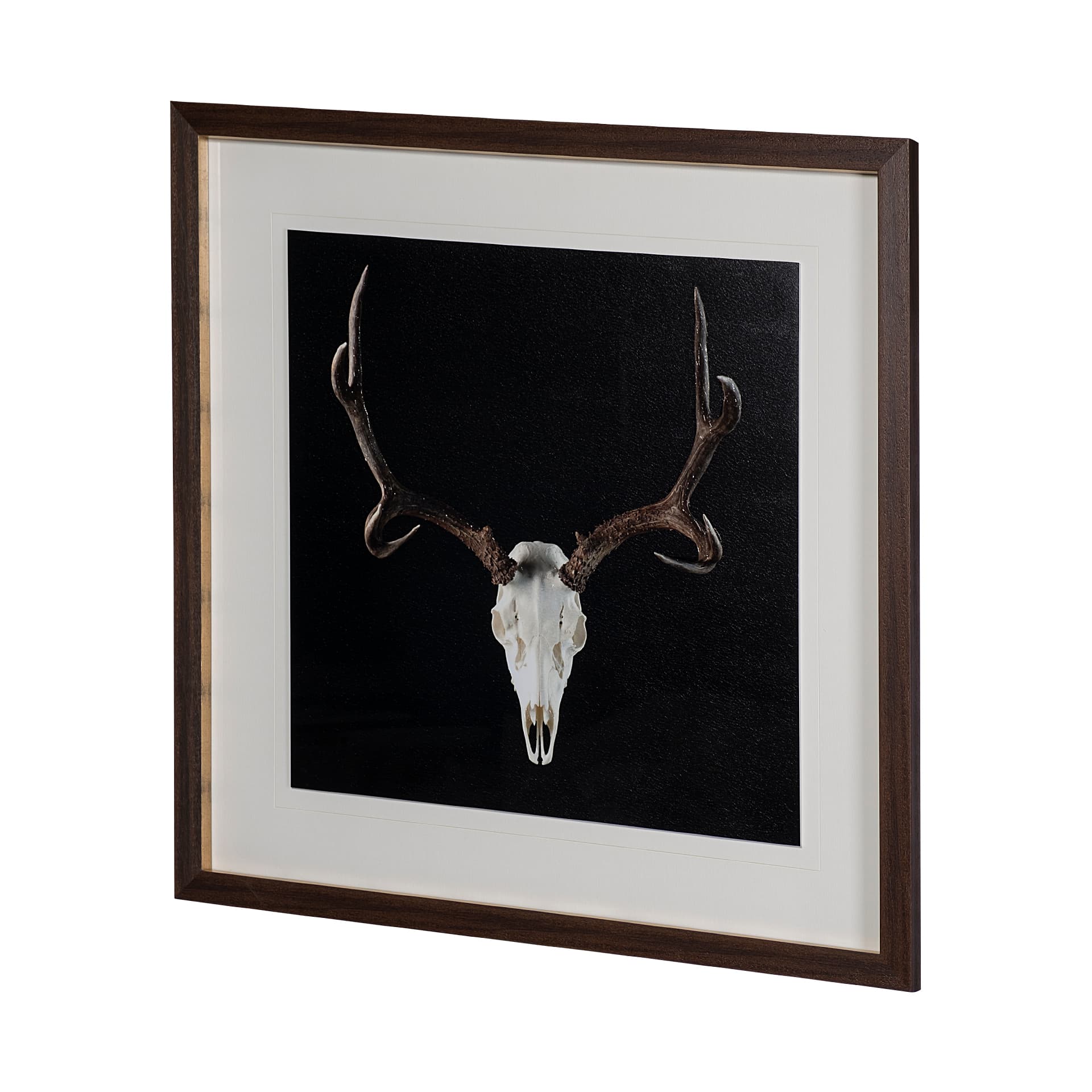 Deer Skull by Chris Dunker a Hand Embelished Textured Framed Art Print Matted under Glass — product photograph